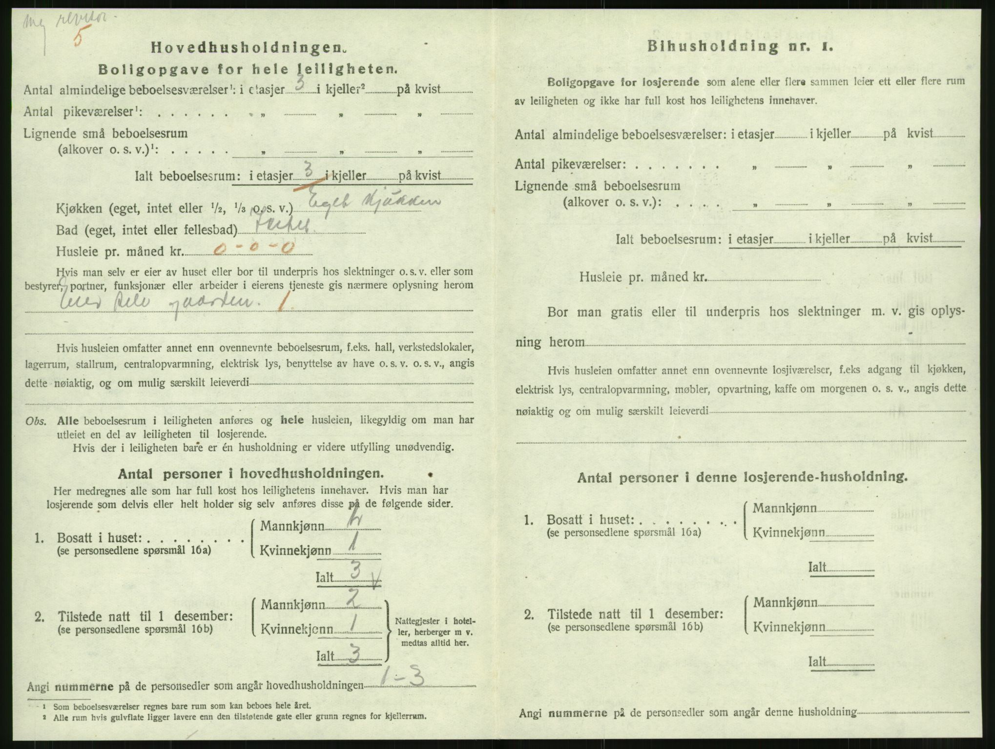 SAT, 1920 census for Levanger town, 1920, p. 905