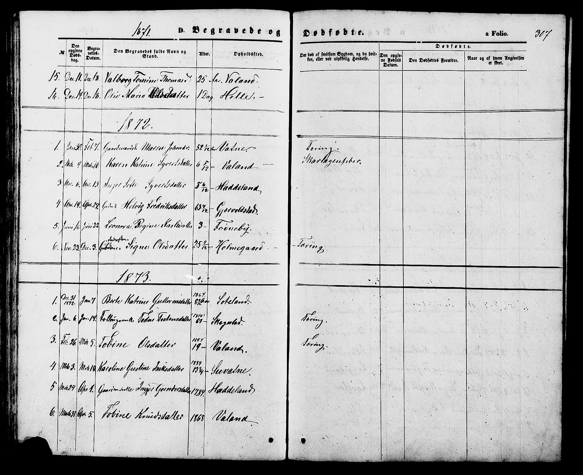 Holum sokneprestkontor, SAK/1111-0022/F/Fb/Fba/L0004: Parish register (copy) no. B 4, 1867-1890, p. 307