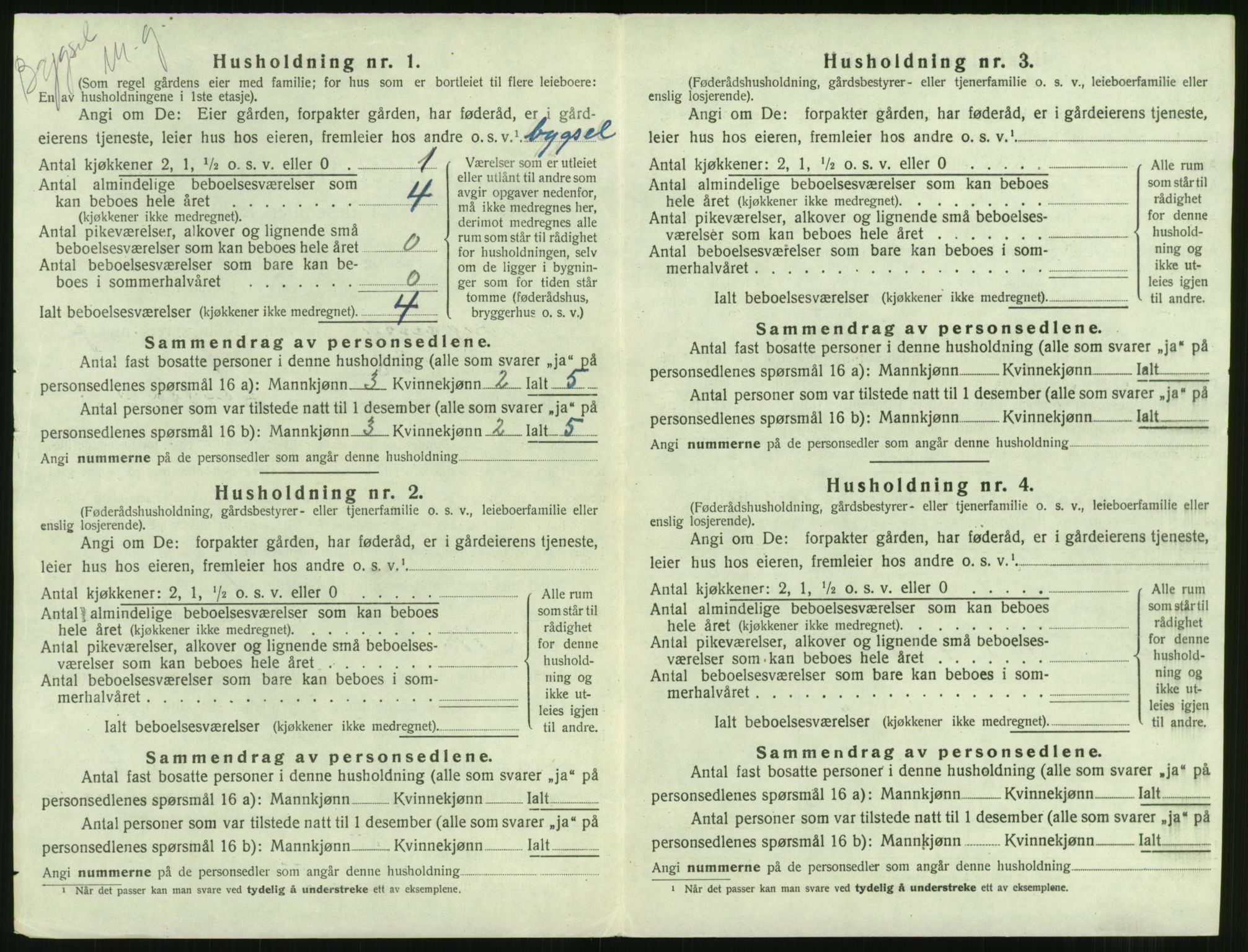 SAT, 1920 census for Borgund, 1920, p. 691