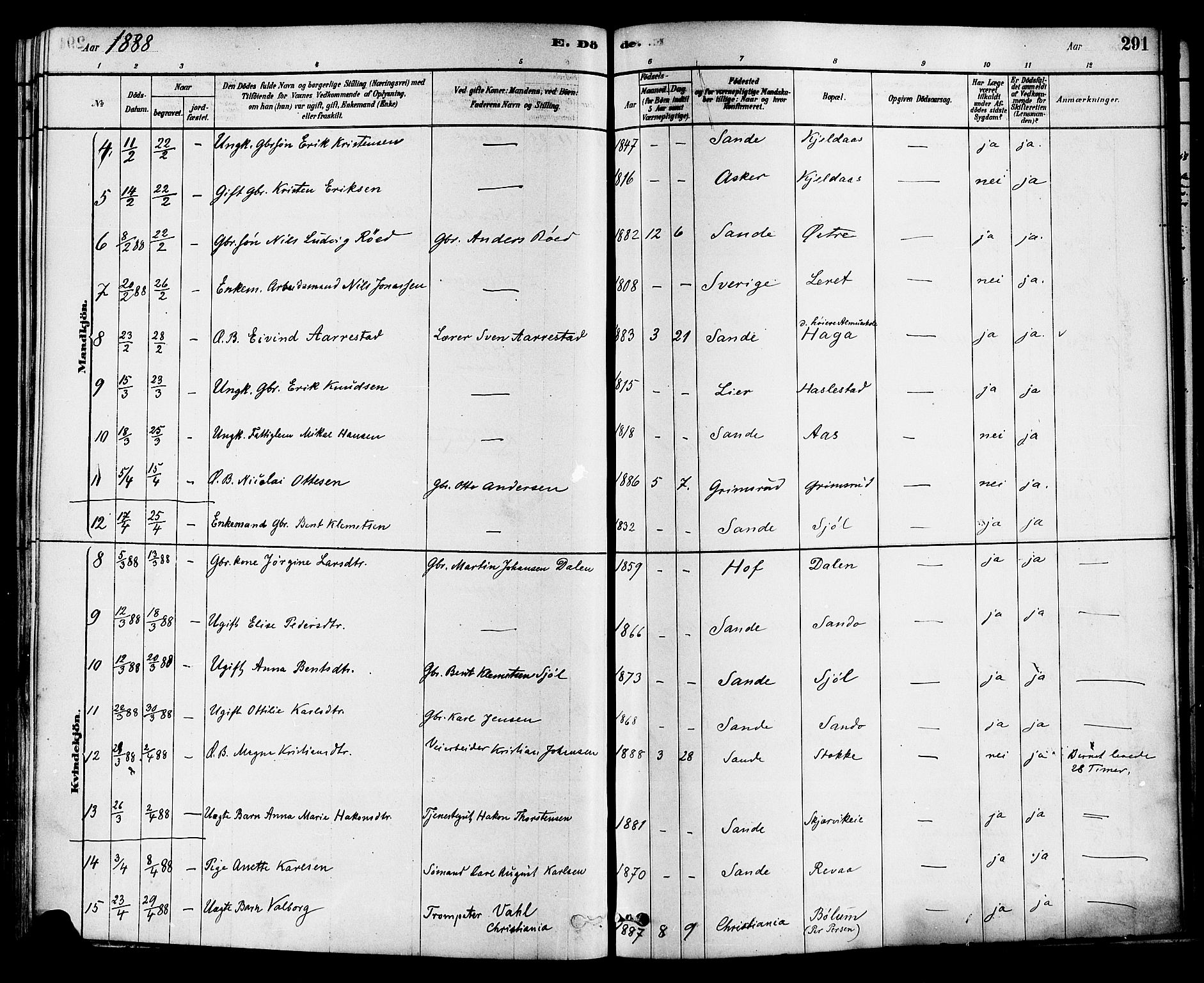 Sande Kirkebøker, AV/SAKO-A-53/F/Fa/L0006: Parish register (official) no. 6, 1878-1888, p. 291