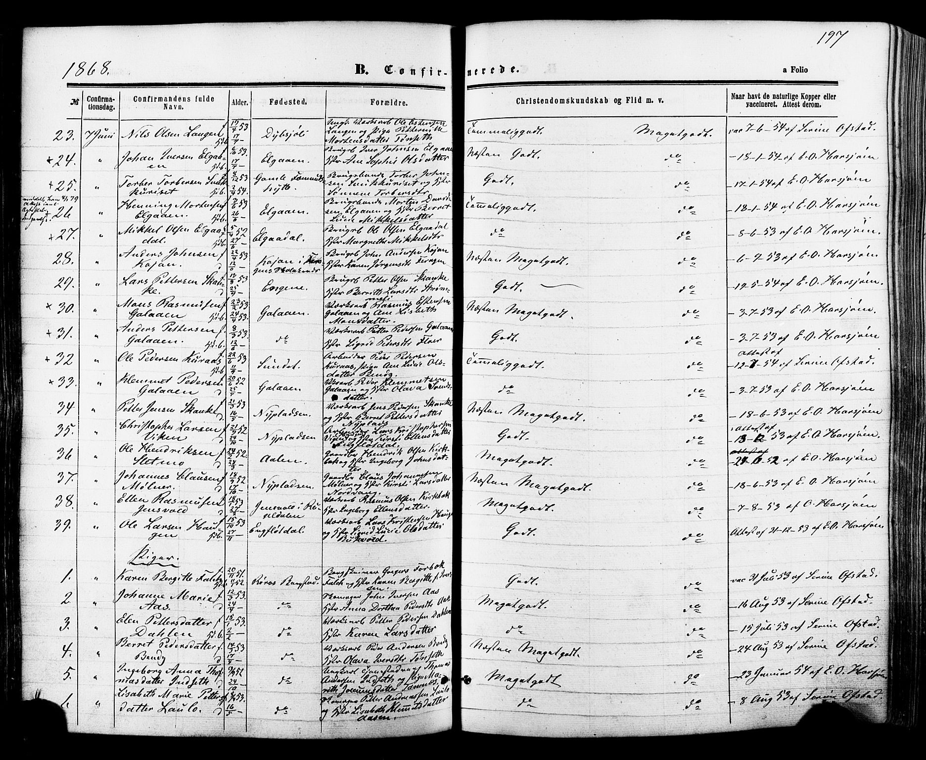 Ministerialprotokoller, klokkerbøker og fødselsregistre - Sør-Trøndelag, SAT/A-1456/681/L0932: Parish register (official) no. 681A10, 1860-1878, p. 197
