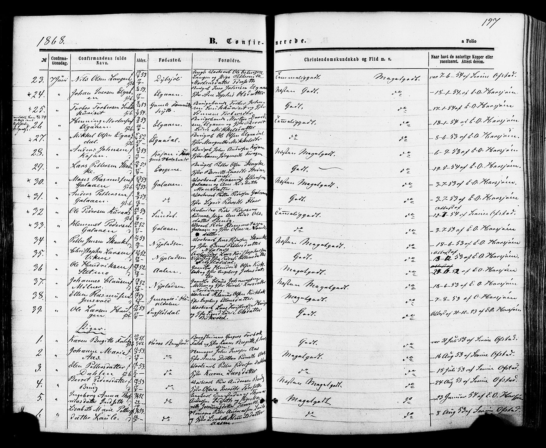 Ministerialprotokoller, klokkerbøker og fødselsregistre - Sør-Trøndelag, AV/SAT-A-1456/681/L0932: Parish register (official) no. 681A10, 1860-1878, p. 197
