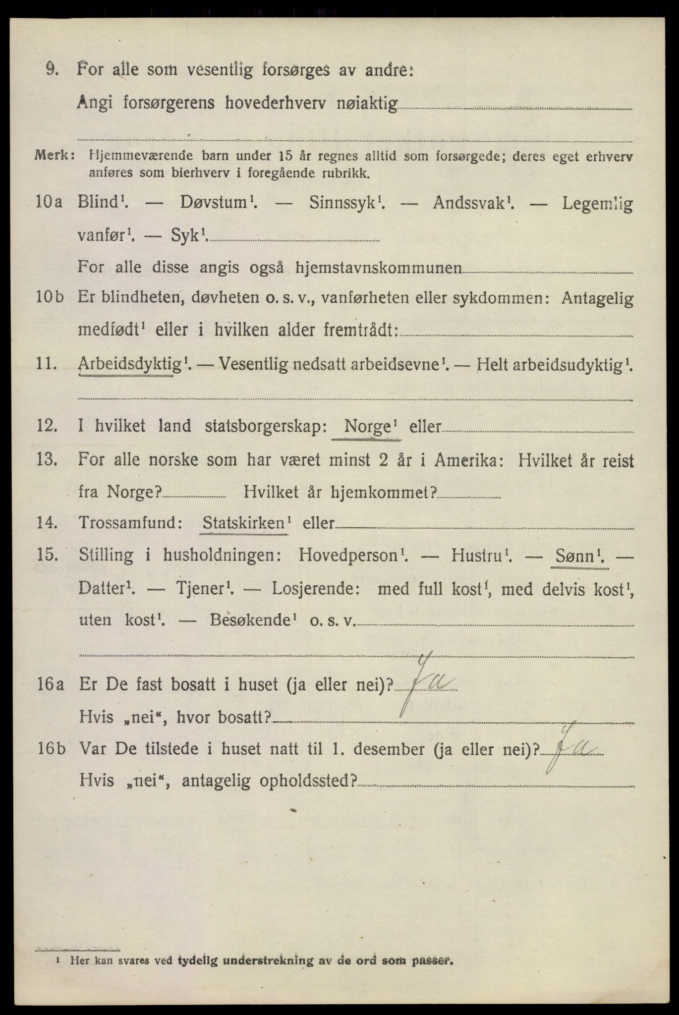 SAKO, 1920 census for Våle, 1920, p. 1239
