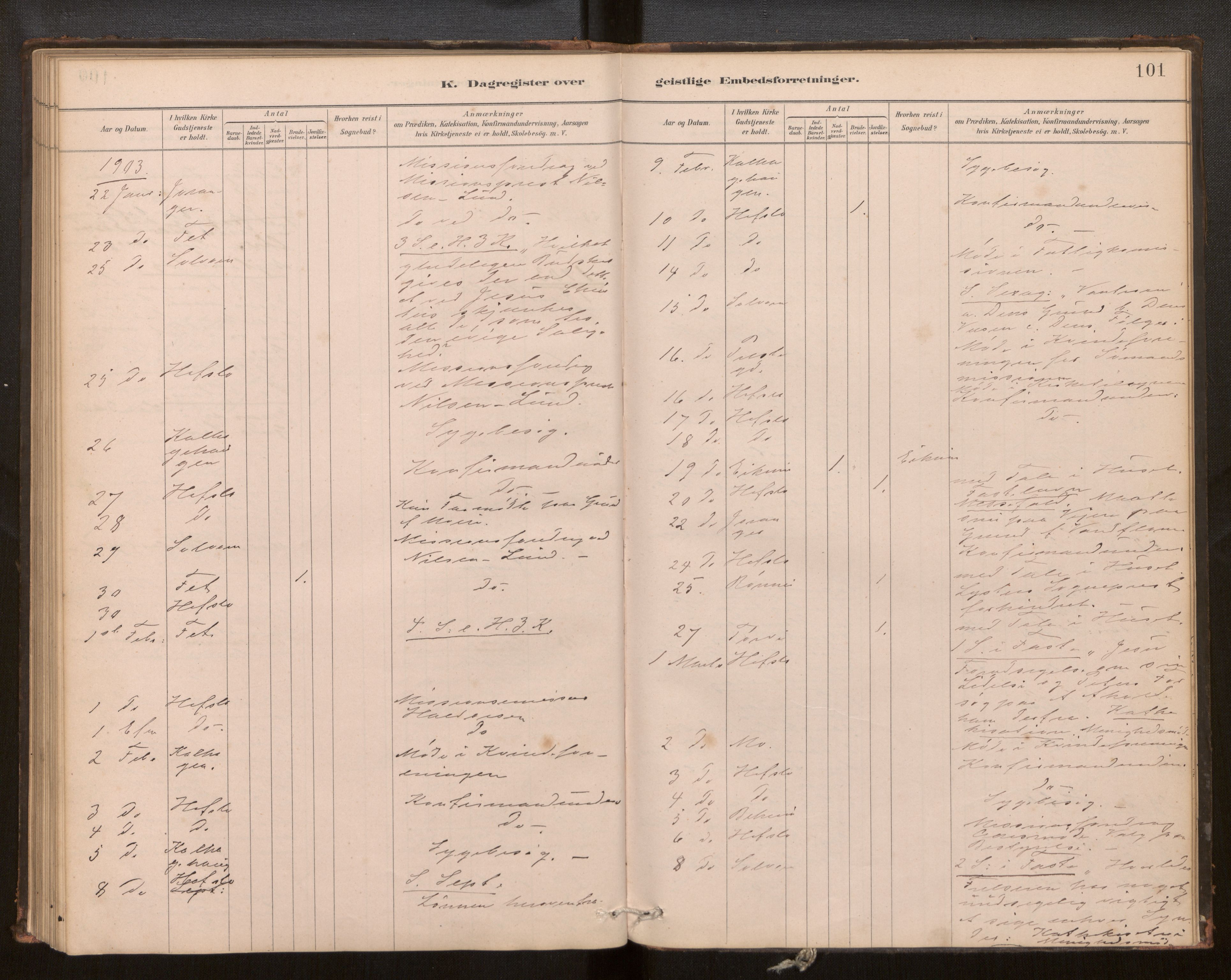 Hafslo sokneprestembete, SAB/A-80301/H/Haa/Haaf/L0003: Diary records no. F 3, 1879-1909, p. 101
