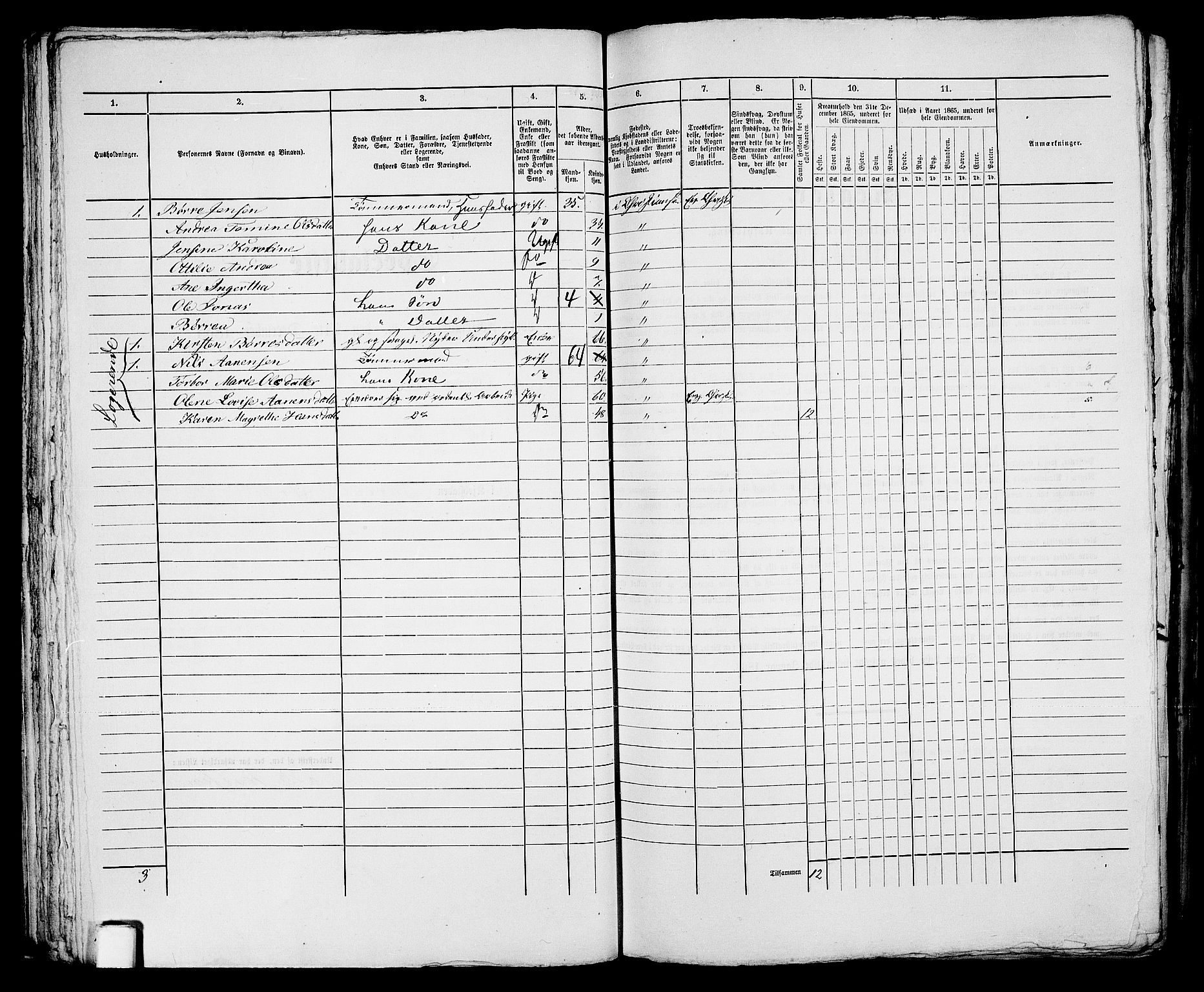 RA, 1865 census for Kristiansand, 1865, p. 1068