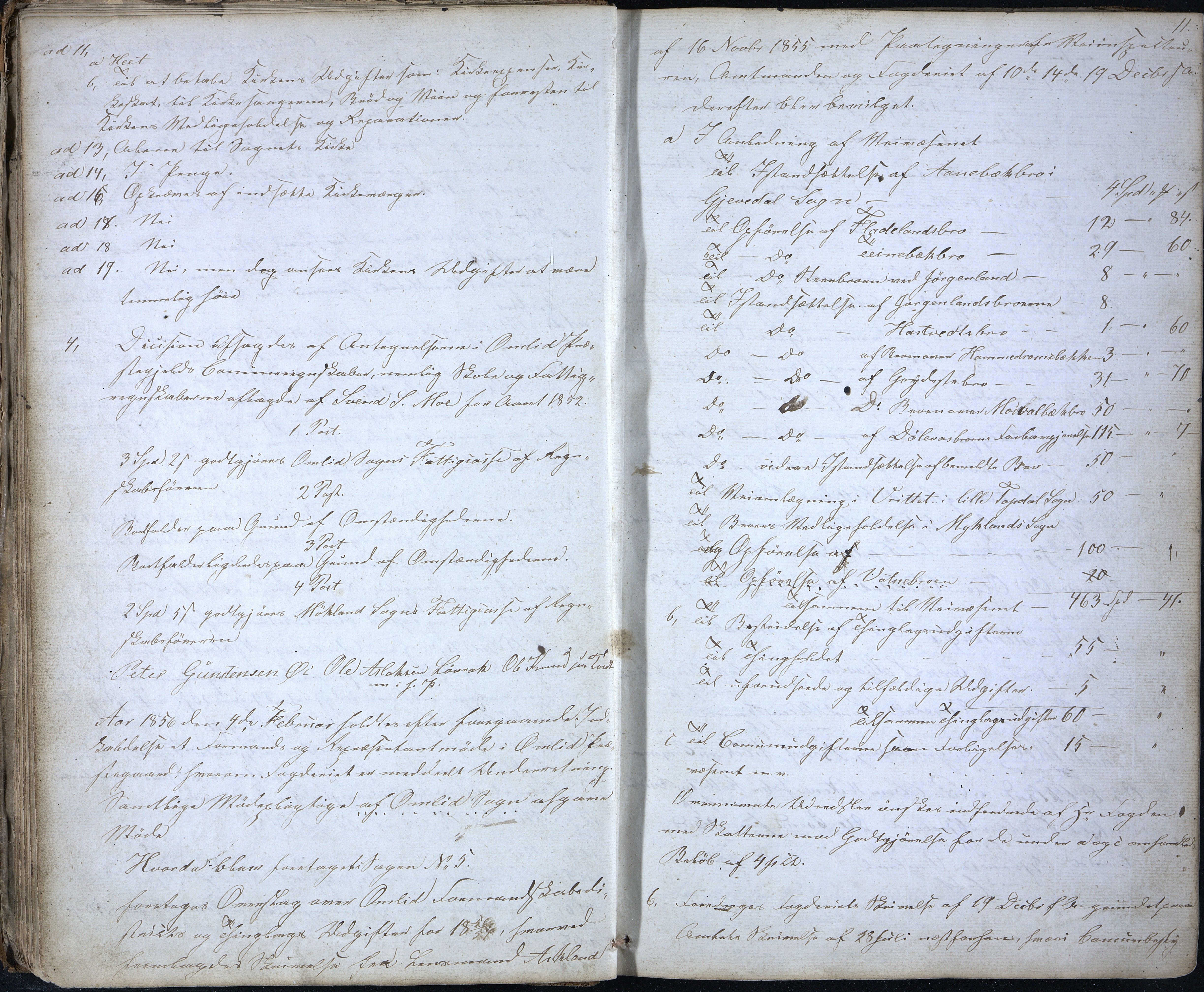 Åmli kommune før 1985, AAKS/KA0929-PK/01/01a/L0002: Møtebok, 1855-1868, p. 11