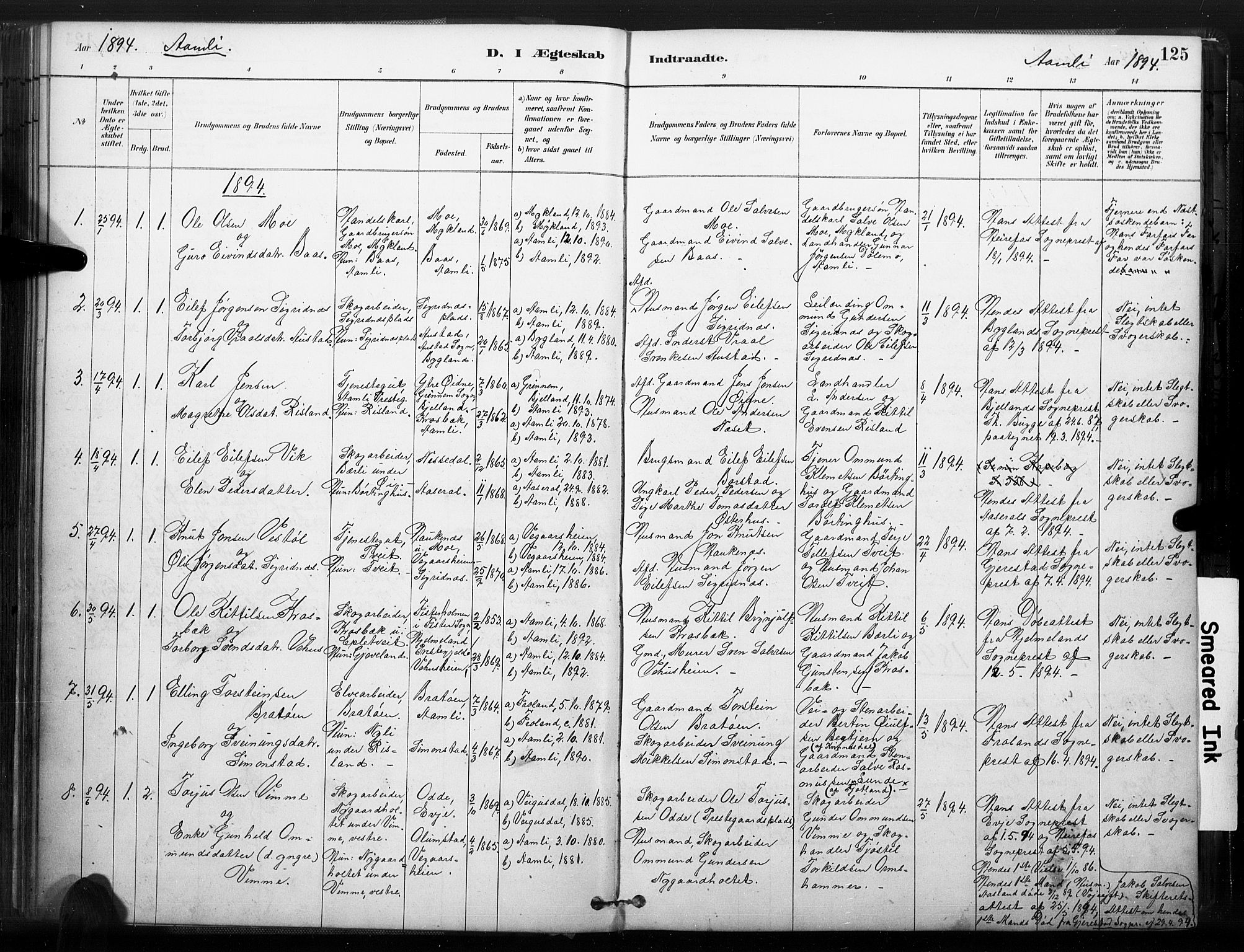 Åmli sokneprestkontor, SAK/1111-0050/F/Fa/Fac/L0010: Parish register (official) no. A 10 /1, 1885-1899, p. 125