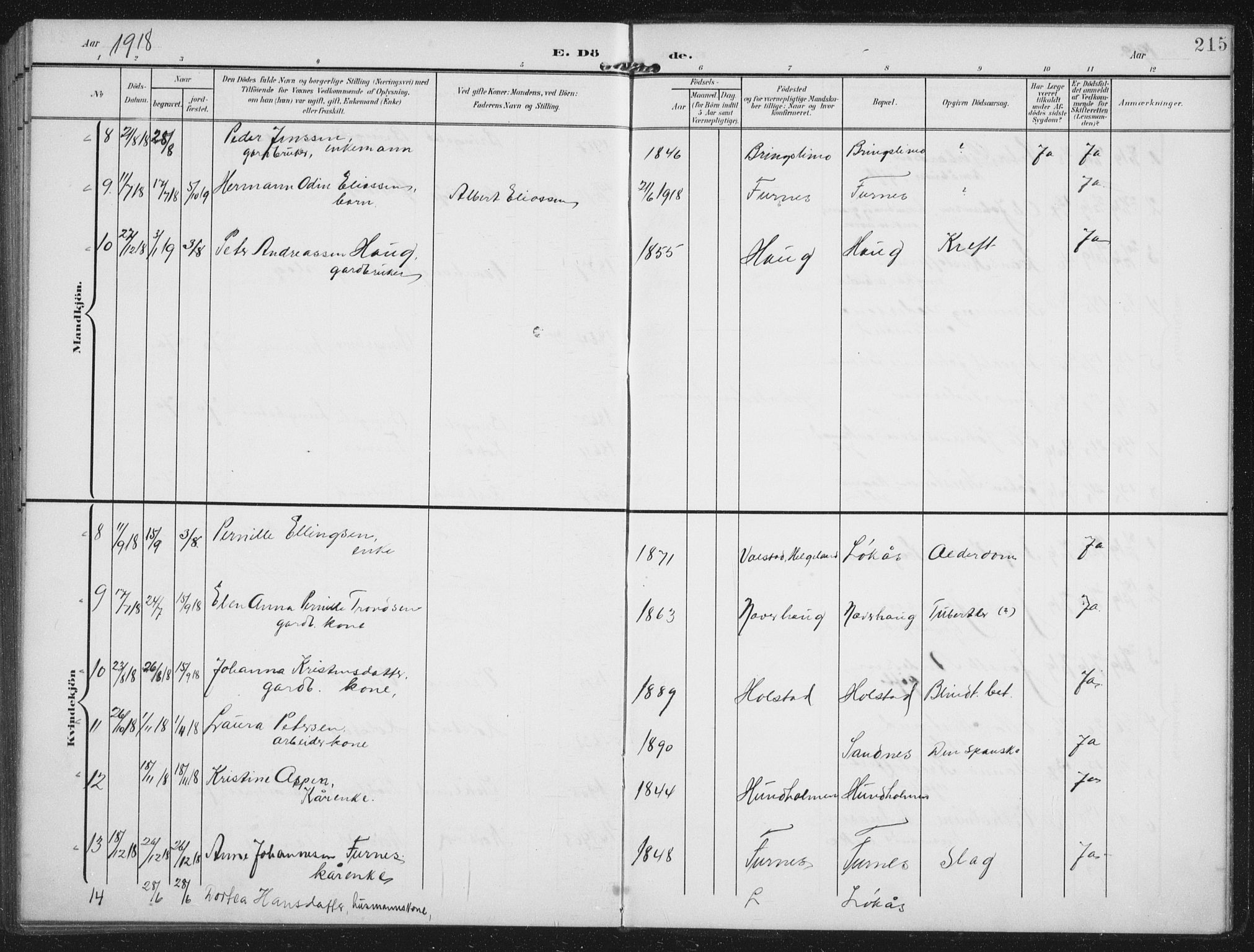 Ministerialprotokoller, klokkerbøker og fødselsregistre - Nordland, AV/SAT-A-1459/851/L0726: Parish register (copy) no. 851C01, 1902-1924, p. 215