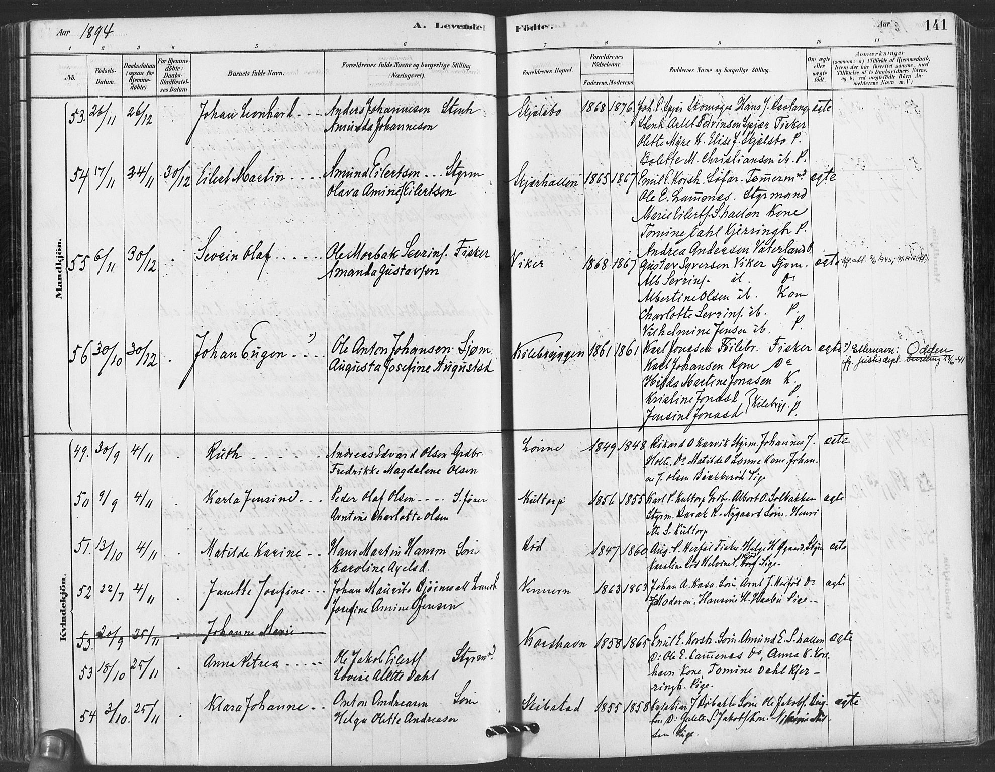Hvaler prestekontor Kirkebøker, AV/SAO-A-2001/F/Fa/L0008: Parish register (official) no. I 8, 1878-1895, p. 141