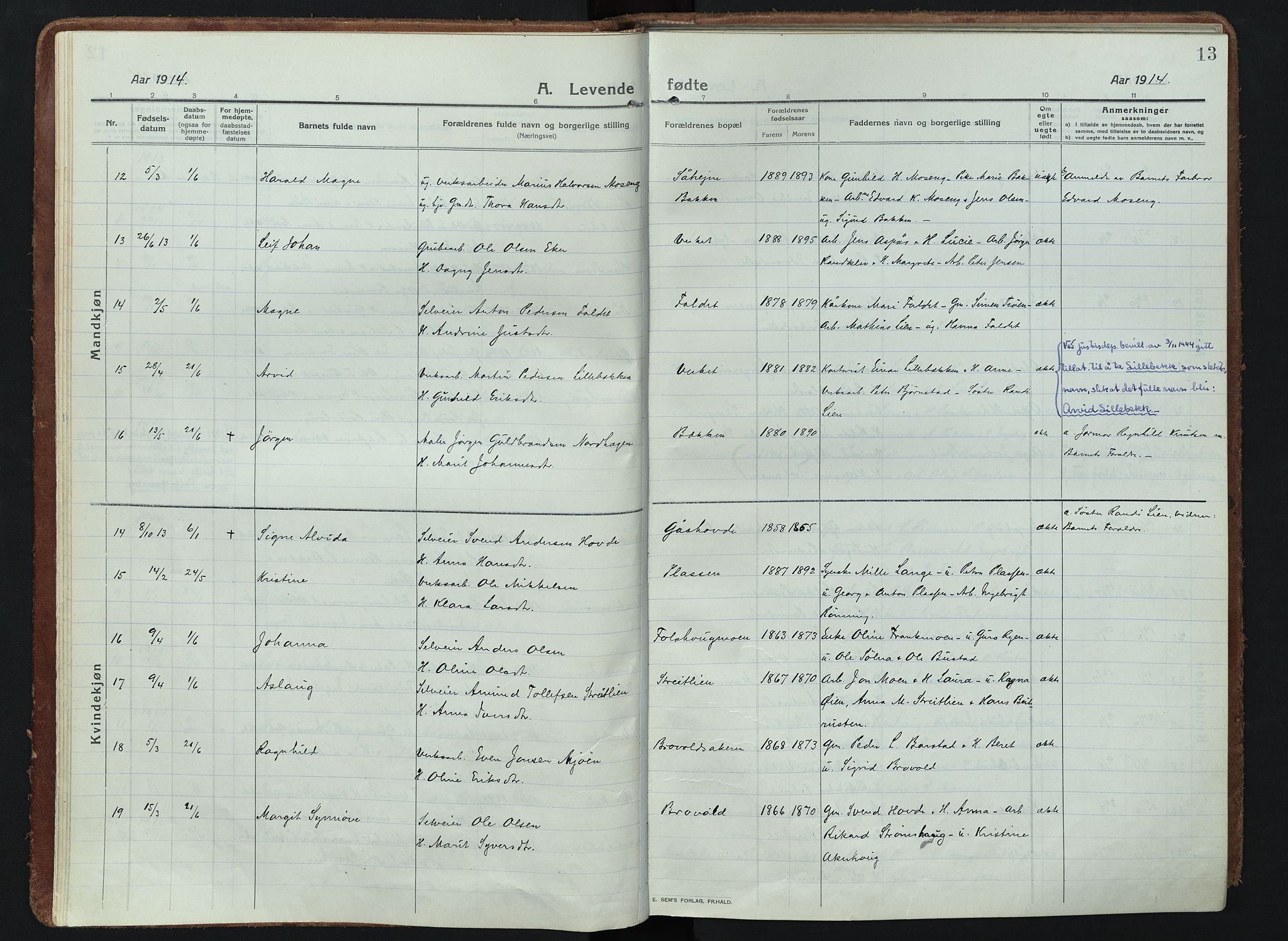 Alvdal prestekontor, AV/SAH-PREST-060/H/Ha/Haa/L0005: Parish register (official) no. 5, 1913-1930, p. 13