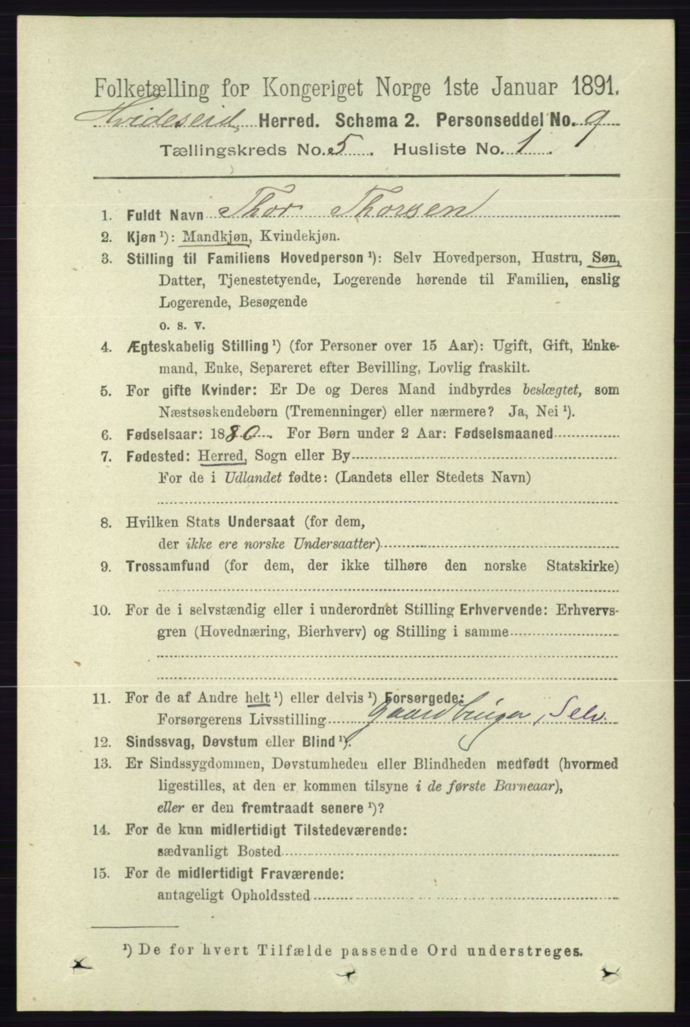 RA, 1891 census for 0829 Kviteseid, 1891, p. 915