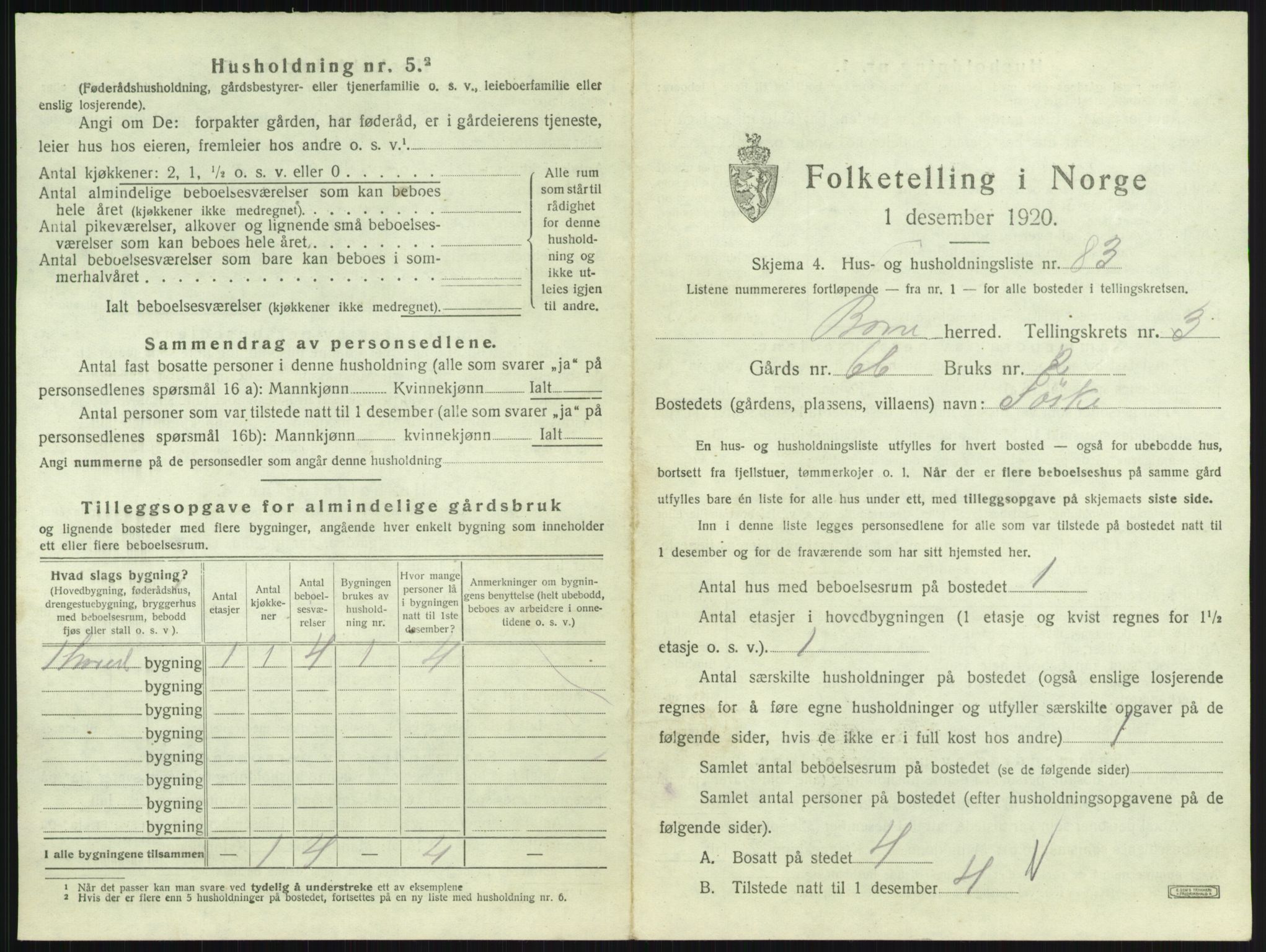 SAKO, 1920 census for Borre, 1920, p. 969