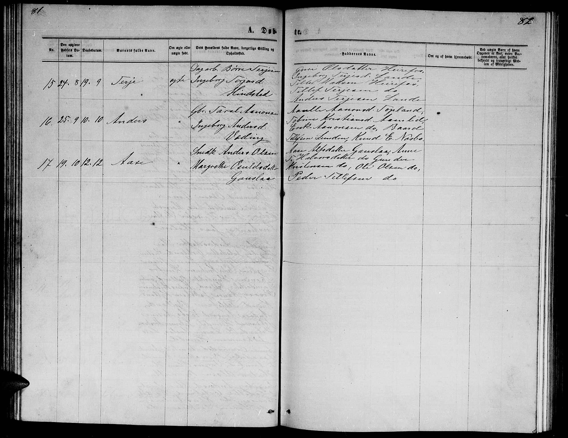 Herefoss sokneprestkontor, AV/SAK-1111-0019/F/Fb/Fba/L0002: Parish register (copy) no. B 2, 1868-1886, p. 81-82