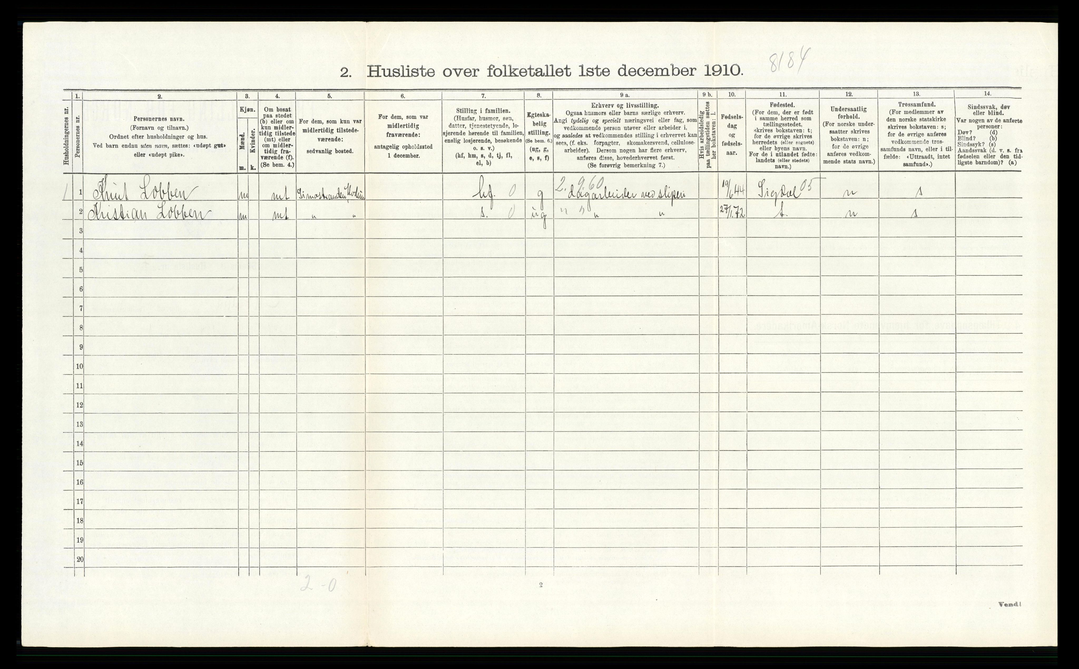 RA, 1910 census for Modum, 1910, p. 3037