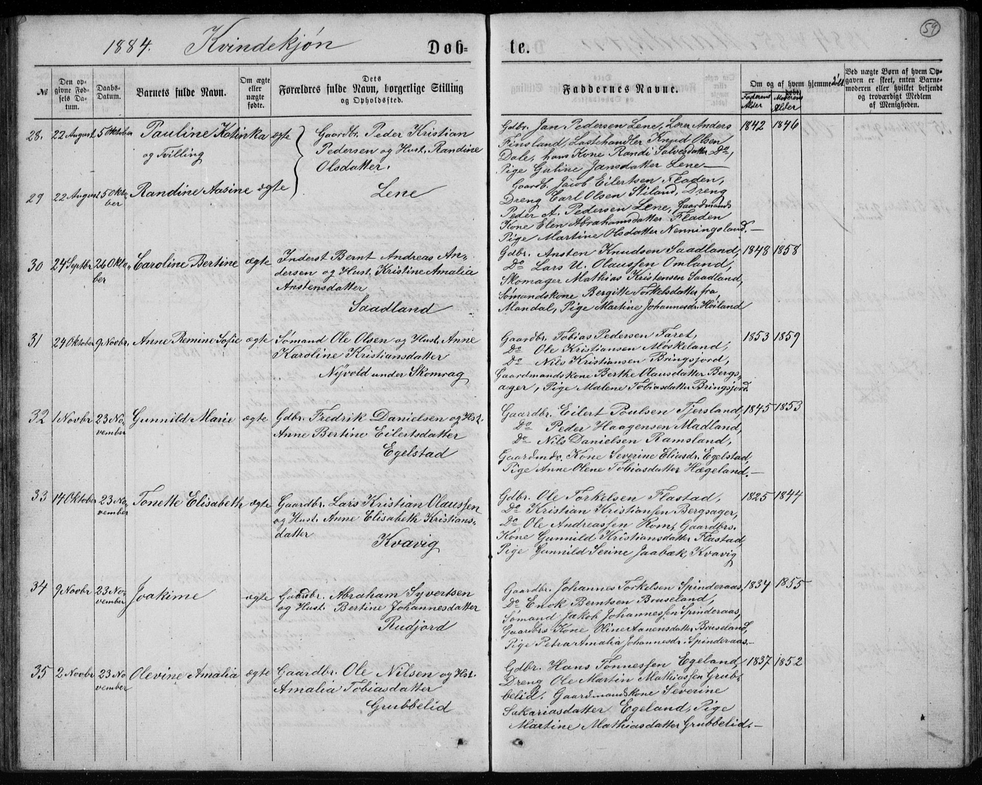 Lyngdal sokneprestkontor, AV/SAK-1111-0029/F/Fb/Fbc/L0004: Parish register (copy) no. B 4, 1878-1896, p. 59