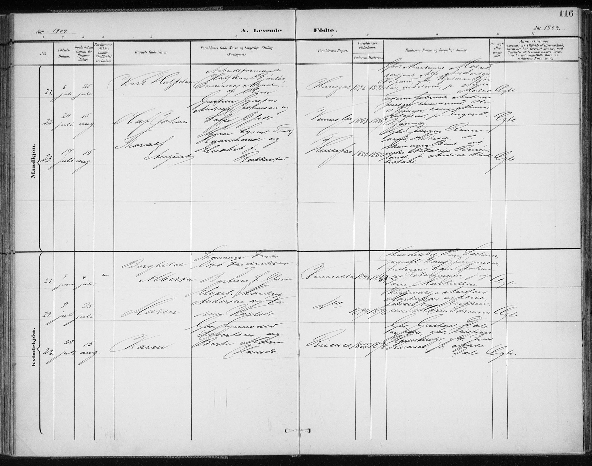 Vennesla sokneprestkontor, AV/SAK-1111-0045/Fa/Fab/L0005: Parish register (official) no. A 5, 1897-1909, p. 116