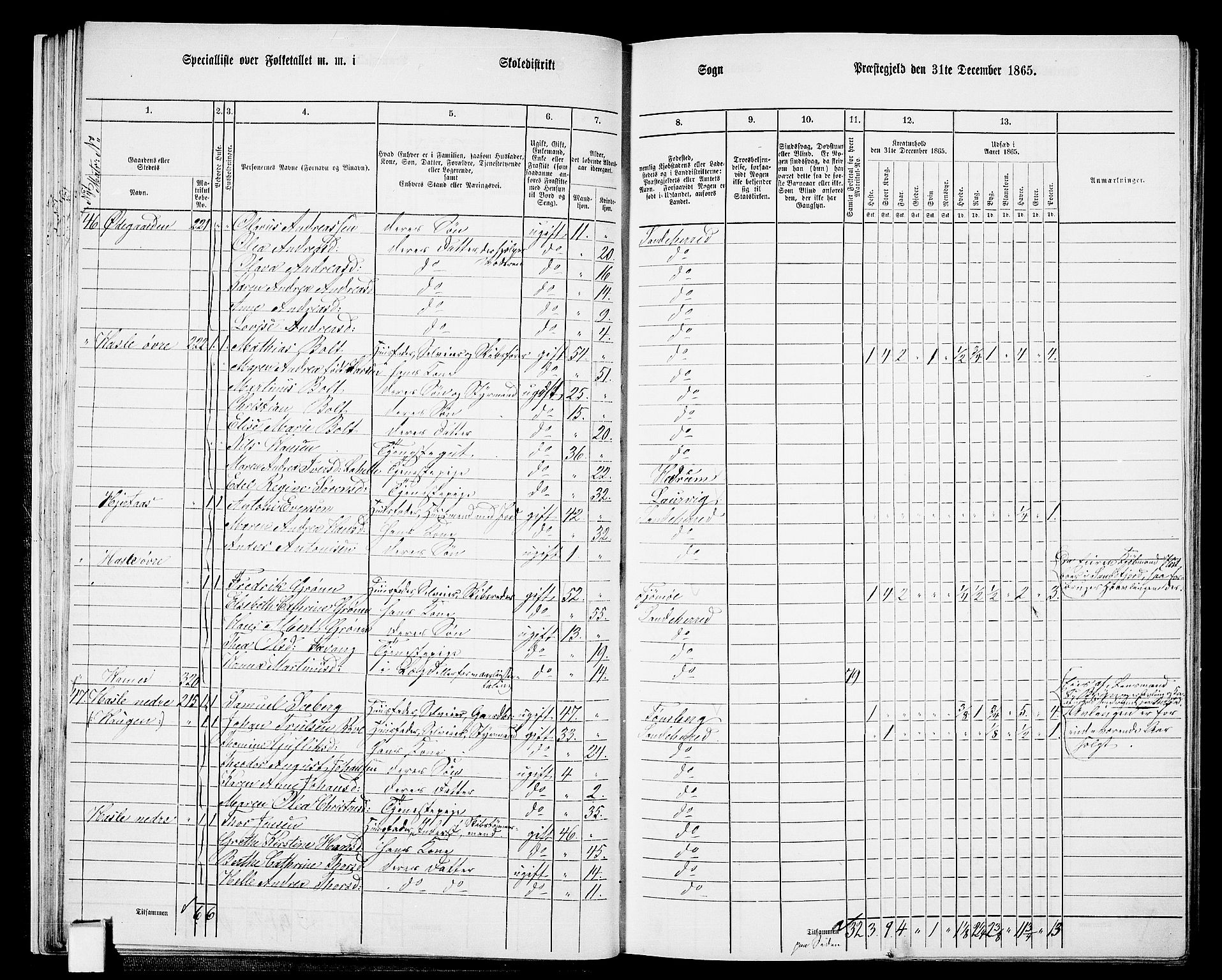 RA, 1865 census for Sandeherred/Sandeherred, 1865, p. 29