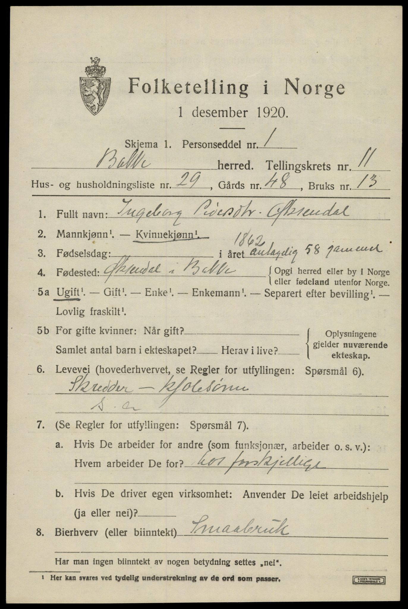 SAK, 1920 census for Bakke, 1920, p. 3114