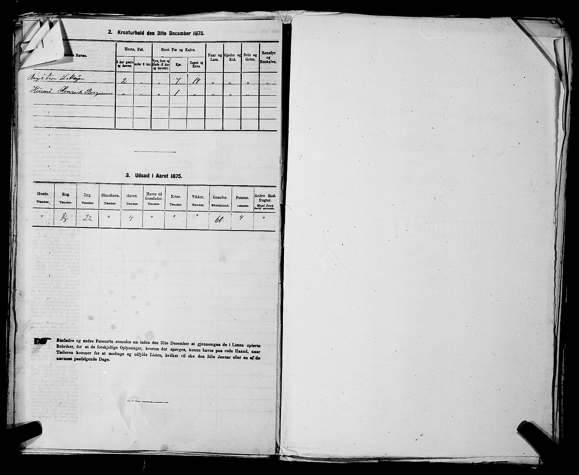 RA, 1875 census for 0231P Skedsmo, 1875, p. 597