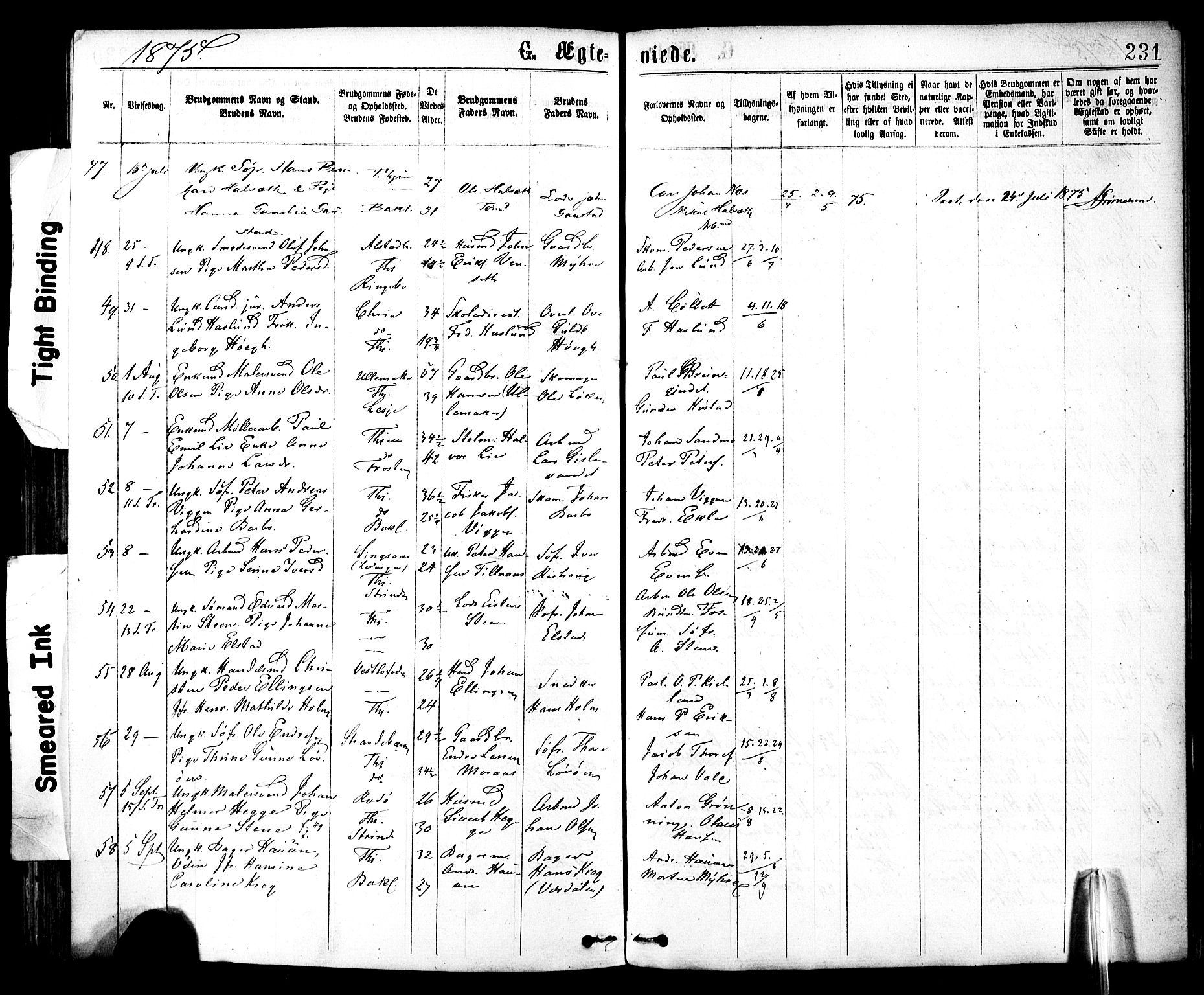 Ministerialprotokoller, klokkerbøker og fødselsregistre - Sør-Trøndelag, AV/SAT-A-1456/602/L0118: Parish register (official) no. 602A16, 1873-1879, p. 231