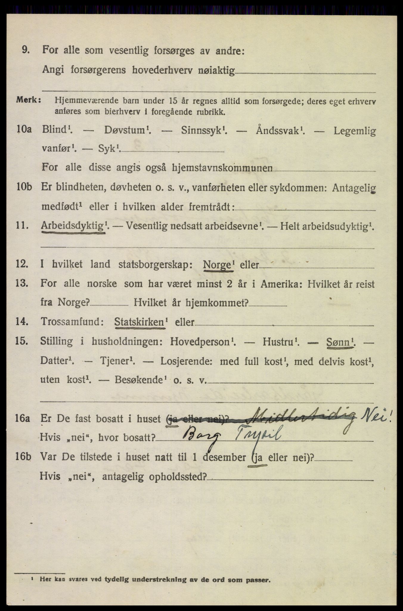 SAH, 1920 census for Trysil, 1920, p. 6938