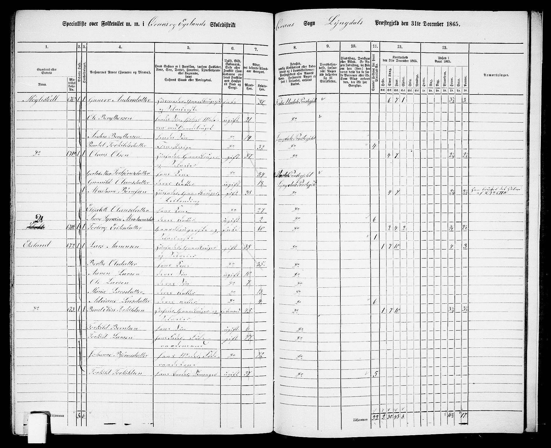 RA, 1865 census for Lyngdal, 1865, p. 240