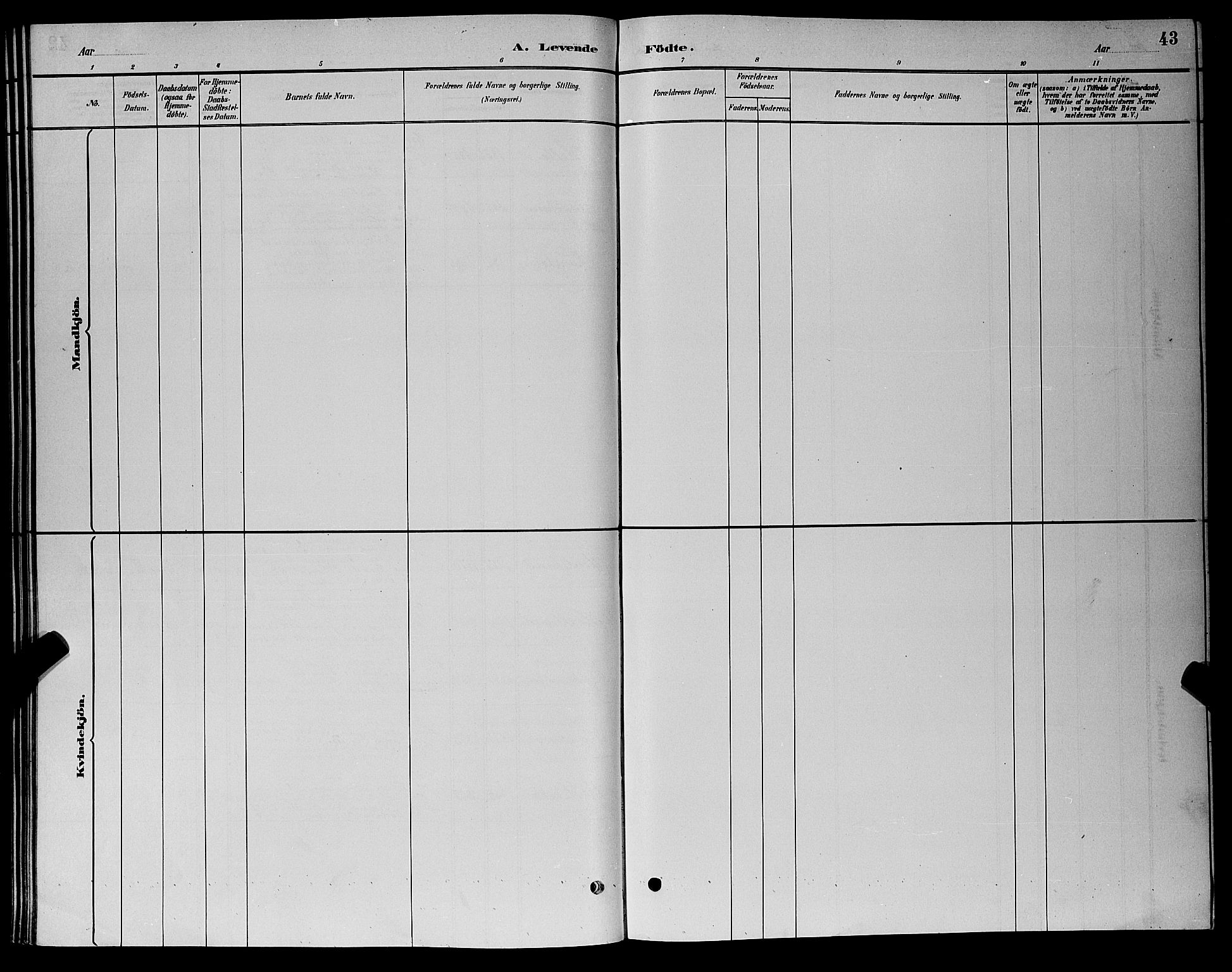 Nord-Audnedal sokneprestkontor, AV/SAK-1111-0032/F/Fb/Fba/L0003: Parish register (copy) no. B 3, 1881-1900, p. 43