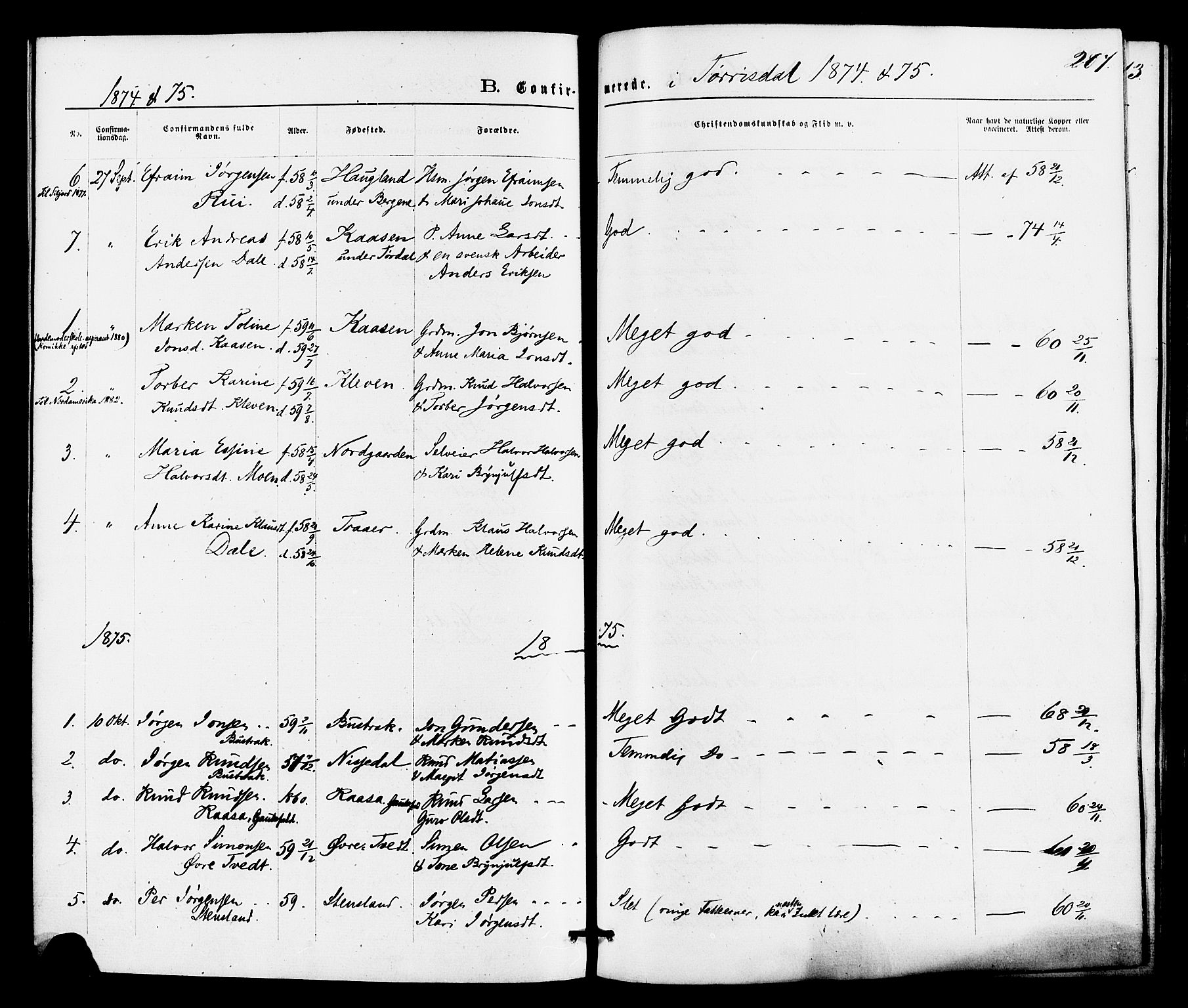 Drangedal kirkebøker, SAKO/A-258/F/Fa/L0009: Parish register (official) no. 9 /2, 1872-1884, p. 207