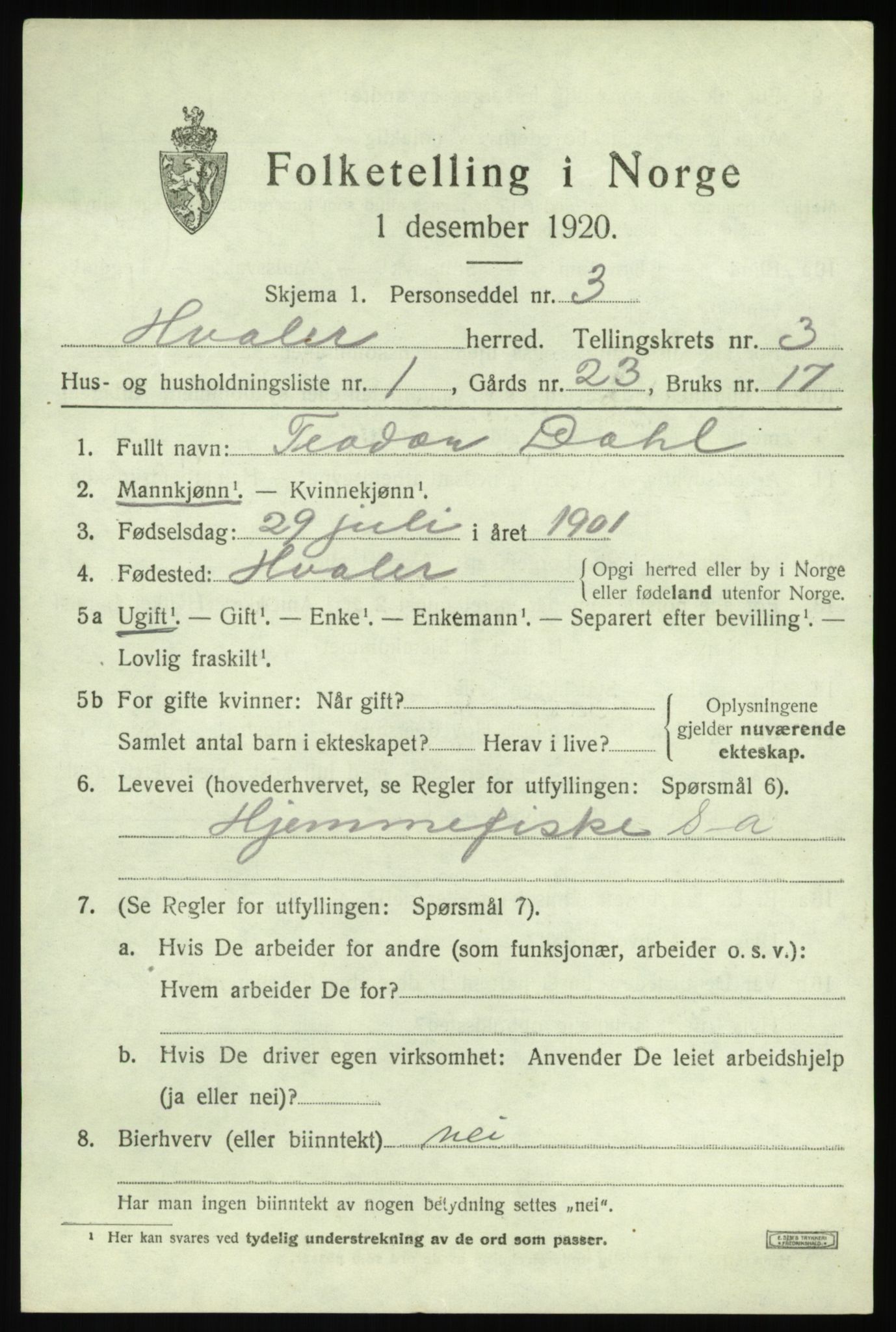 SAO, 1920 census for Hvaler, 1920, p. 4026