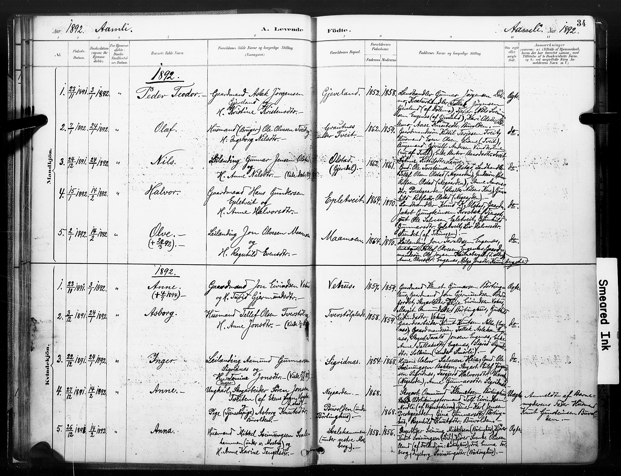 Åmli sokneprestkontor, AV/SAK-1111-0050/F/Fa/Fac/L0010: Parish register (official) no. A 10 /1, 1885-1899, p. 34