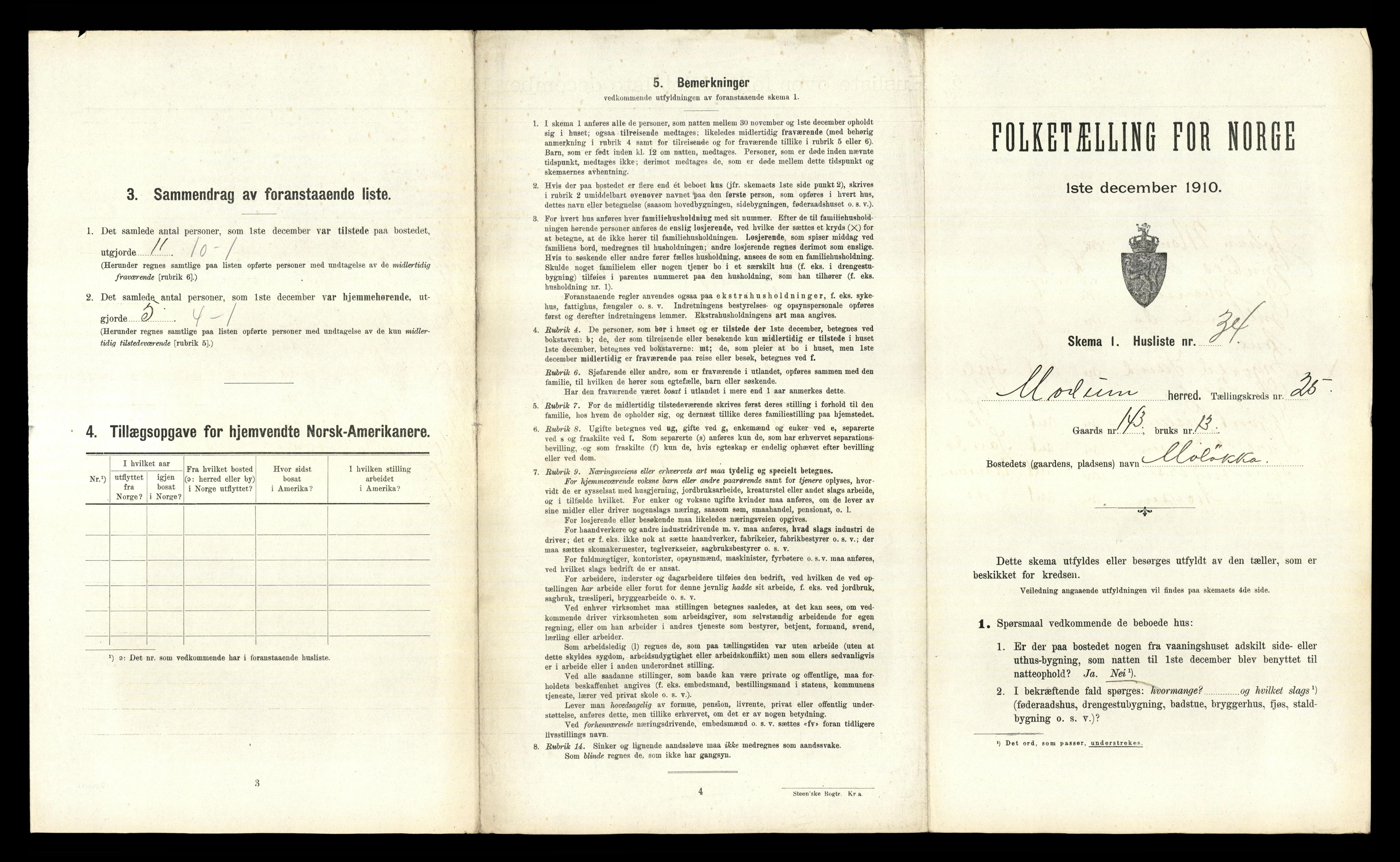 RA, 1910 census for Modum, 1910, p. 3696