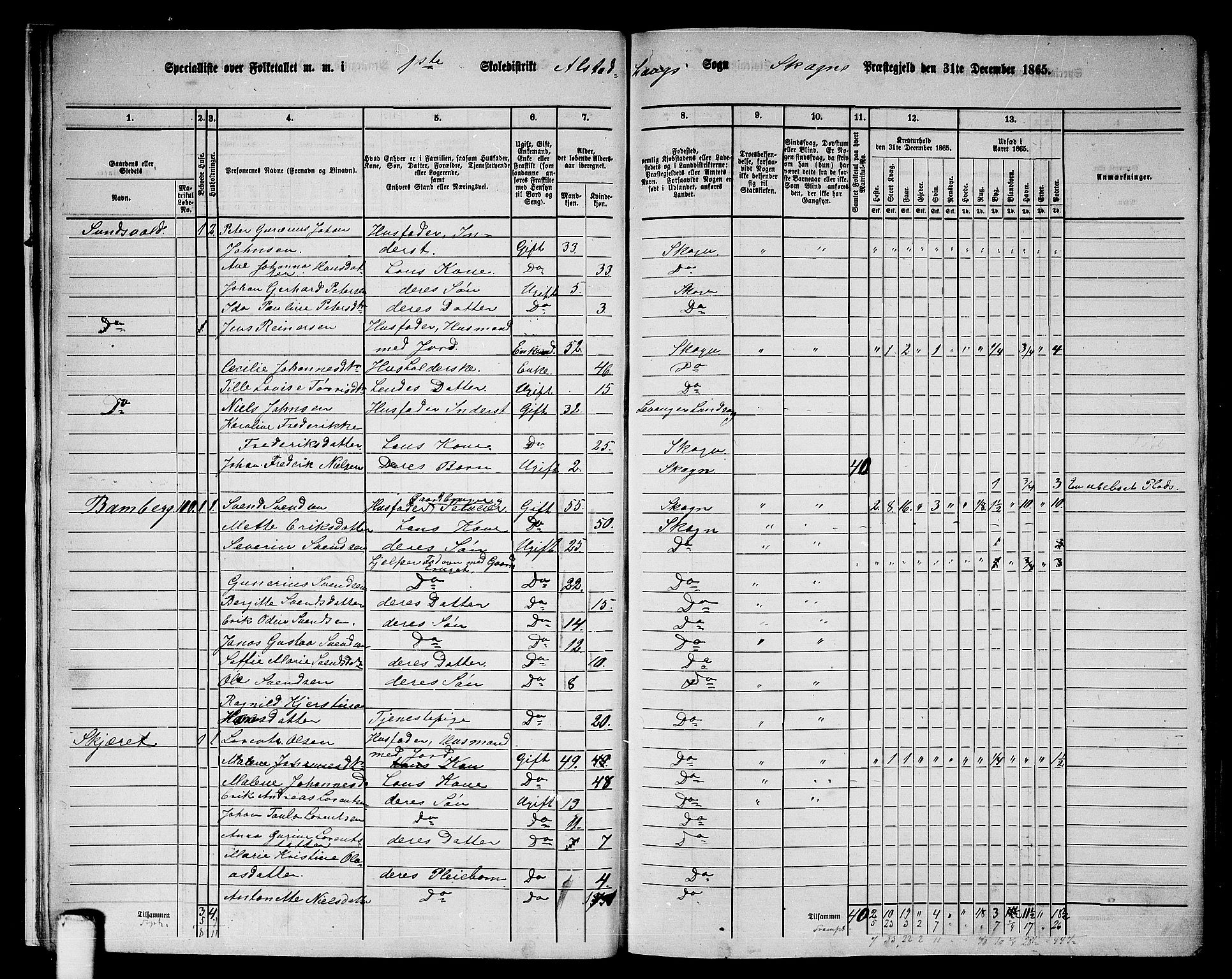 RA, 1865 census for Skogn, 1865, p. 17