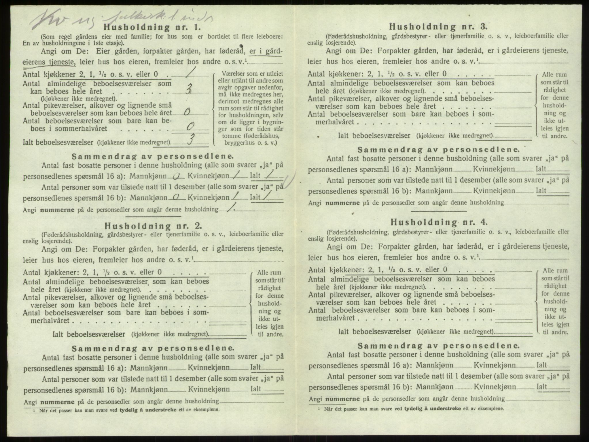 SAO, 1920 census for Skjeberg, 1920, p. 1338