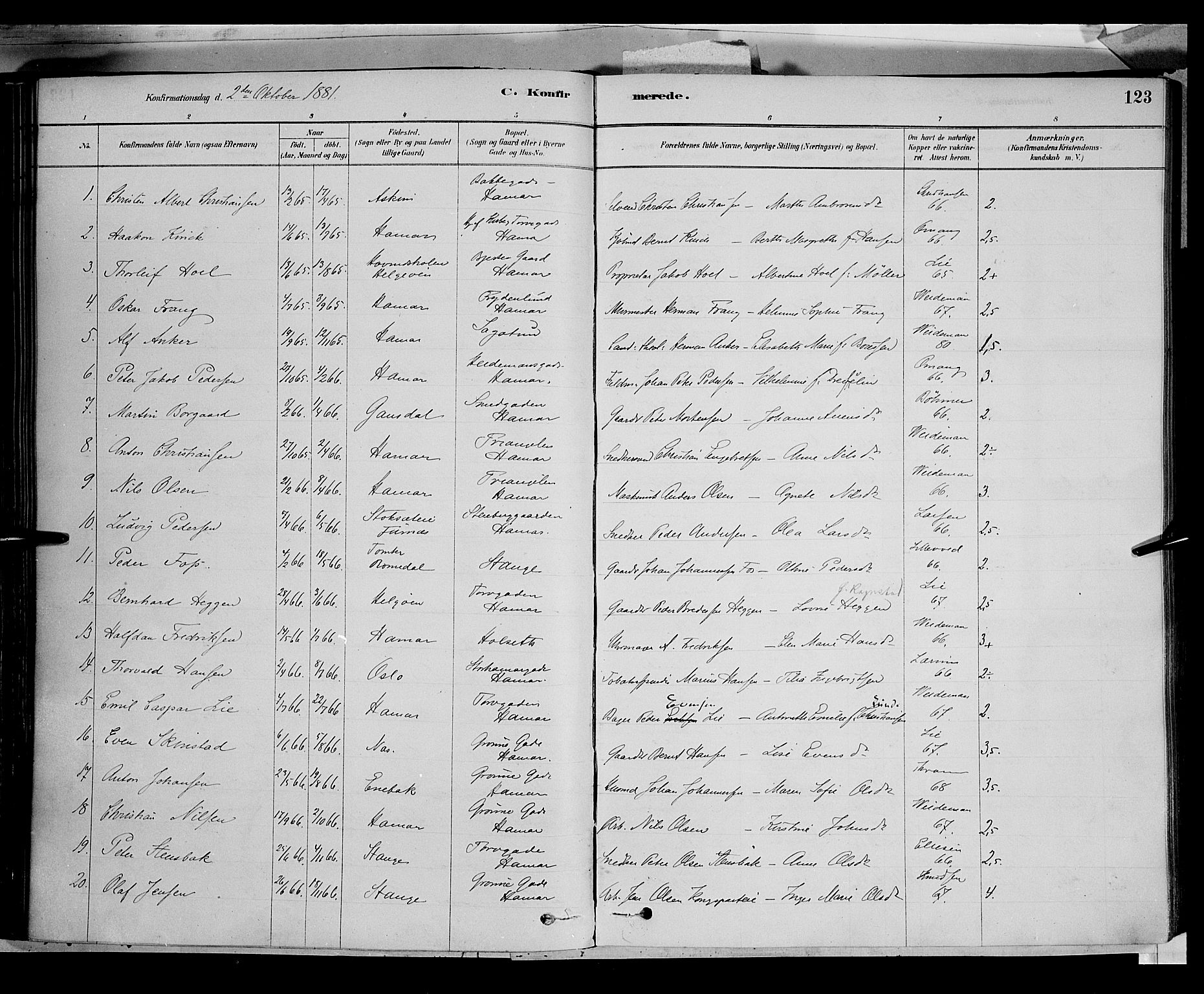 Vang prestekontor, Hedmark, SAH/PREST-008/H/Ha/Haa/L0016: Parish register (official) no. 16, 1878-1889, p. 123