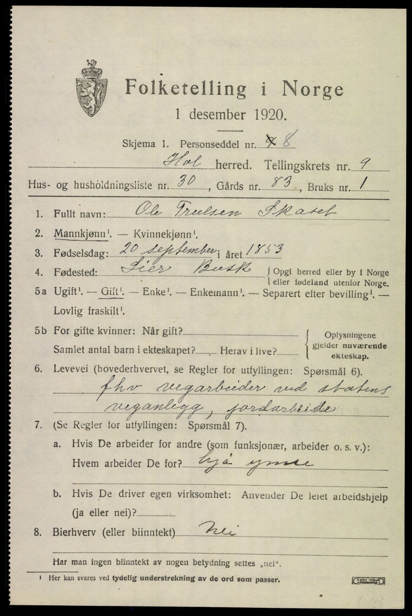 SAKO, 1920 census for Hol (Buskerud), 1920, p. 5293