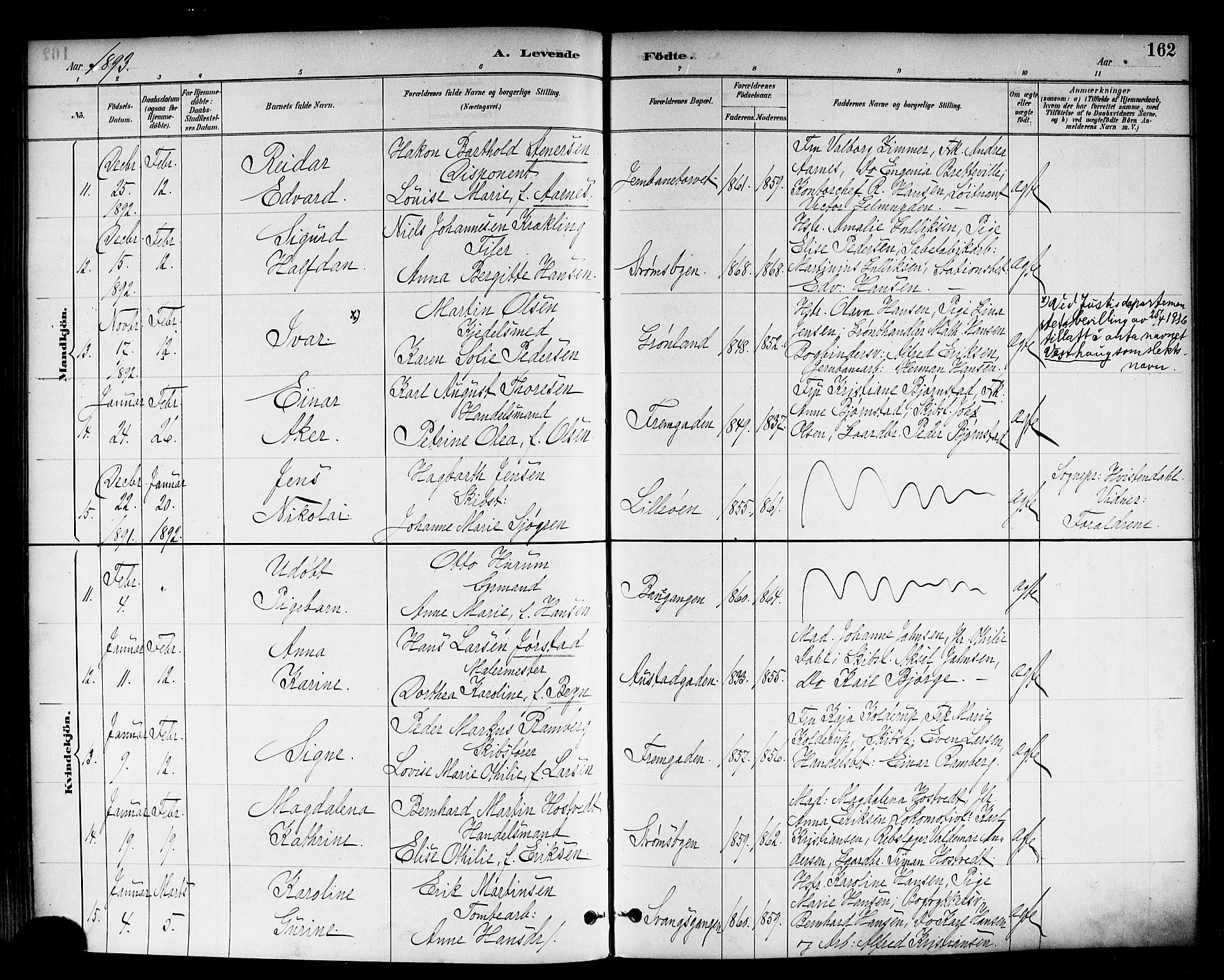 Strømsø kirkebøker, SAKO/A-246/F/Fa/L0023: Parish register (official) no. I 23, 1885-1894, p. 162