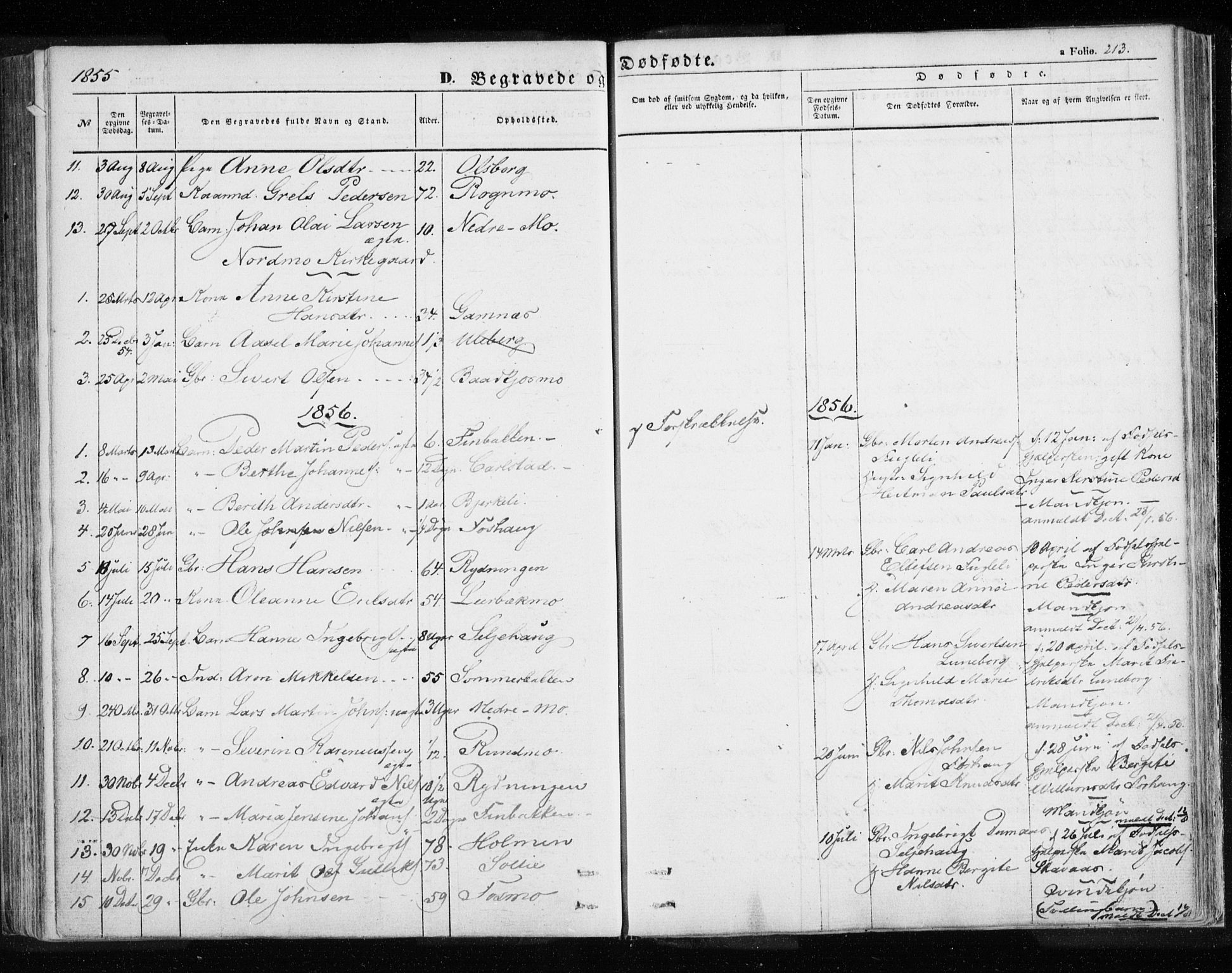 Målselv sokneprestembete, SATØ/S-1311/G/Ga/Gaa/L0003kirke: Parish register (official) no. 3, 1853-1863, p. 213