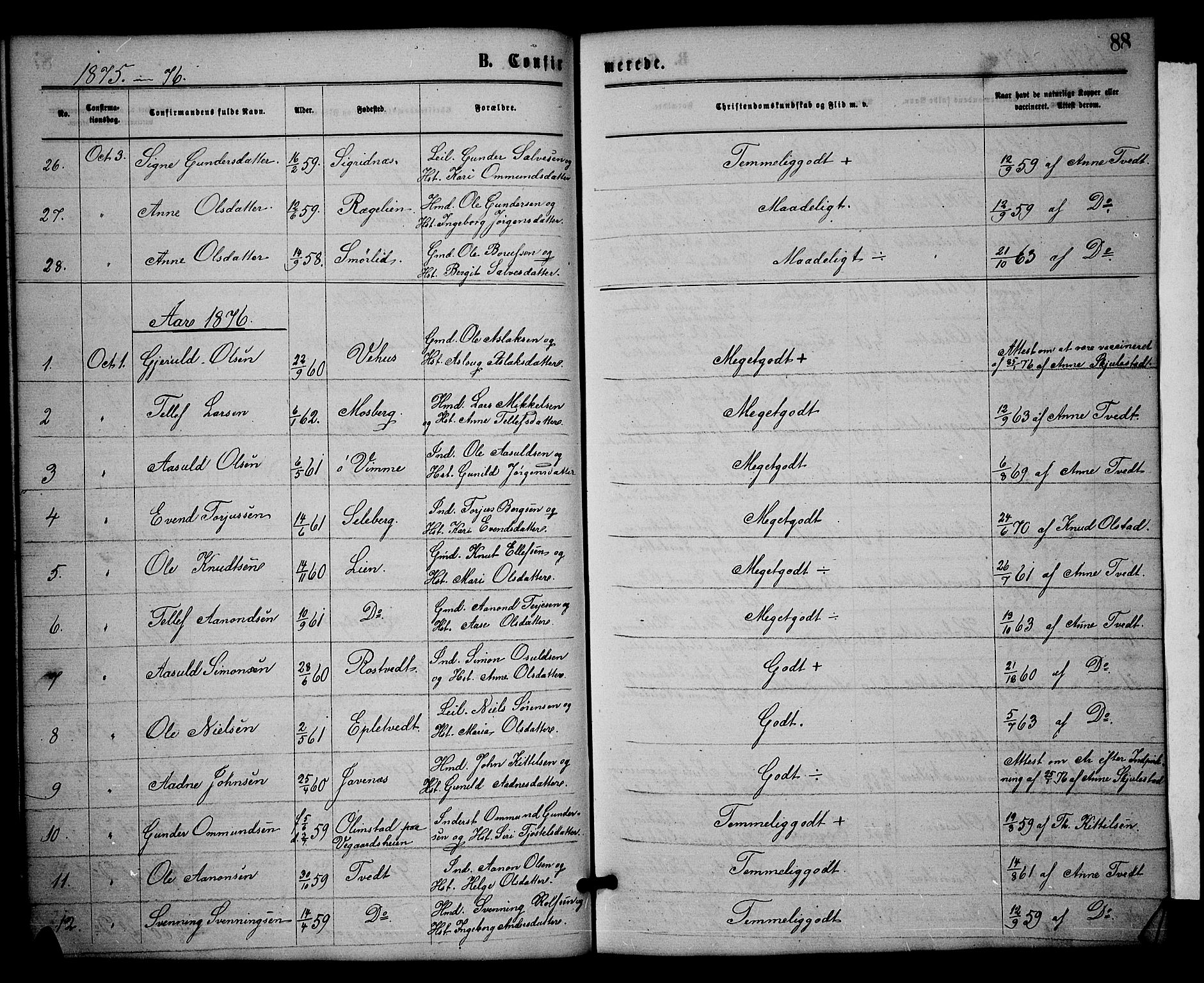 Åmli sokneprestkontor, SAK/1111-0050/F/Fb/Fbc/L0003: Parish register (copy) no. B 3, 1868-1888, p. 88