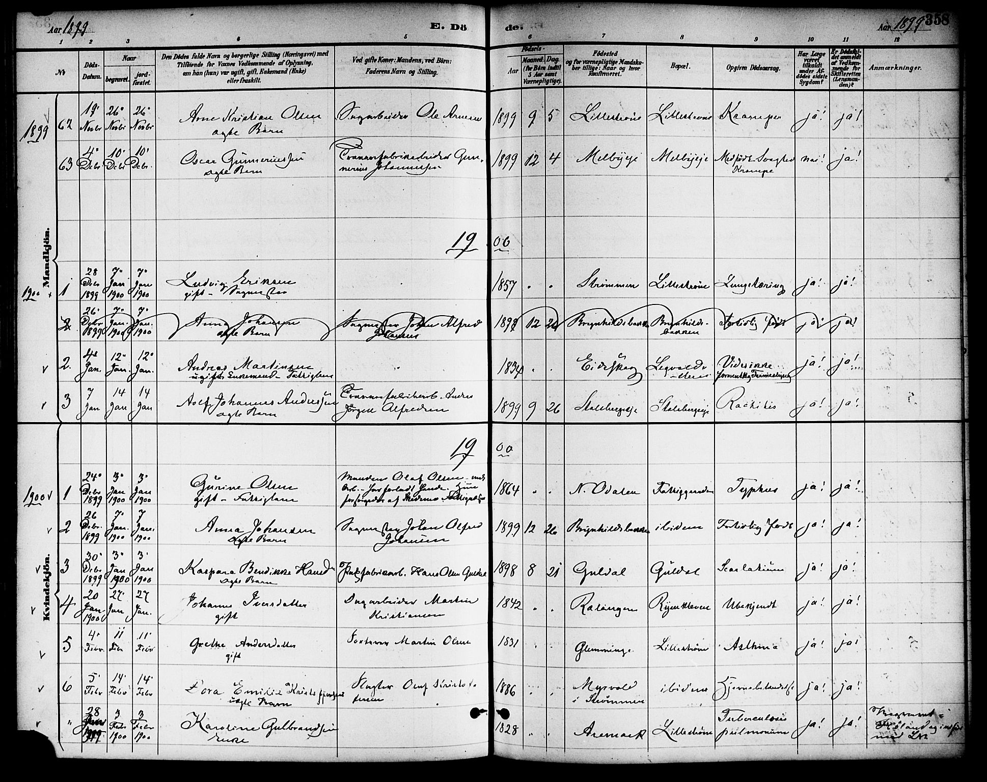 Skedsmo prestekontor Kirkebøker, SAO/A-10033a/F/Fa/L0014: Parish register (official) no. I 14, 1892-1901, p. 358