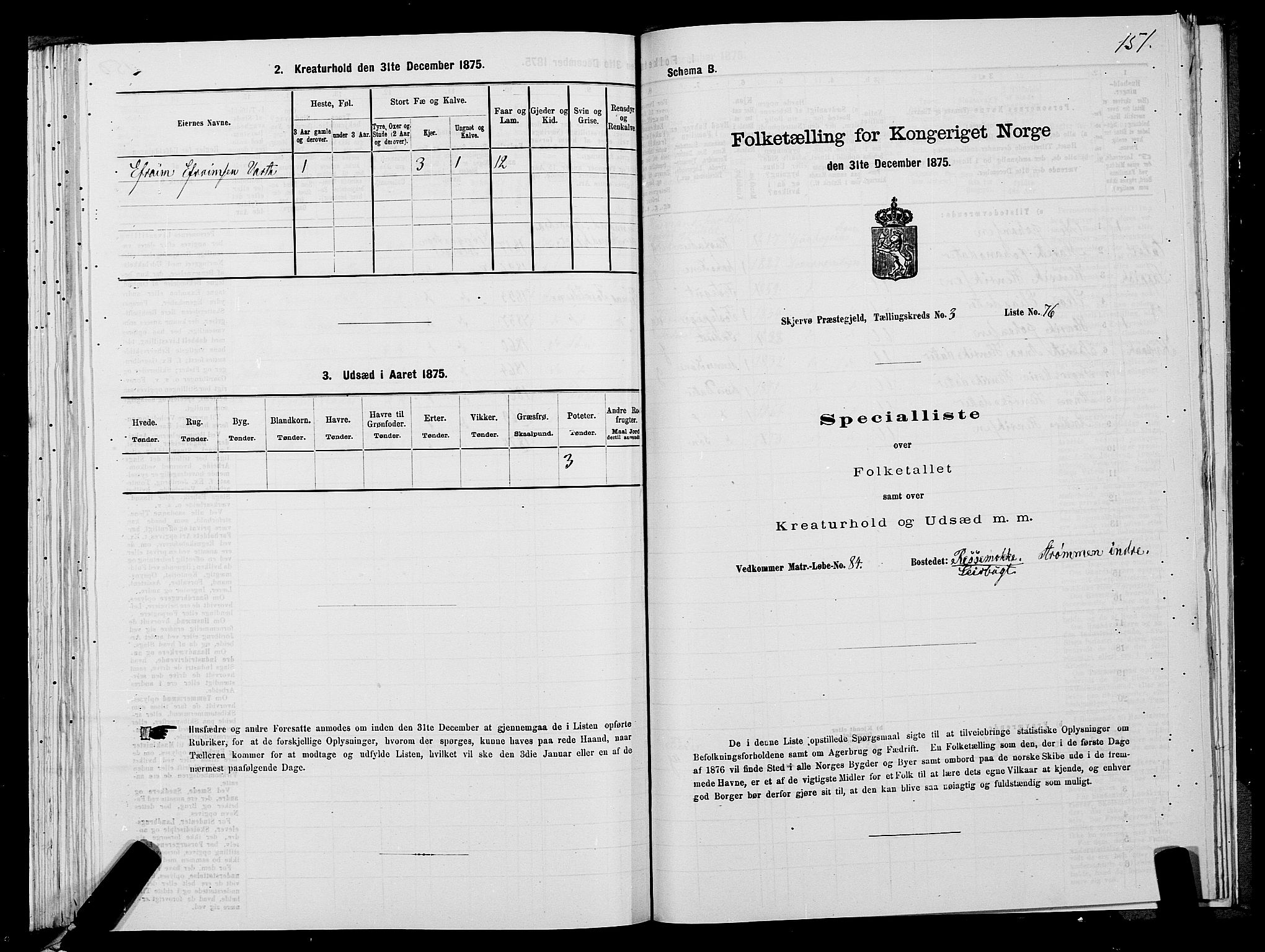 SATØ, 1875 census for 1941P Skjervøy, 1875, p. 2151