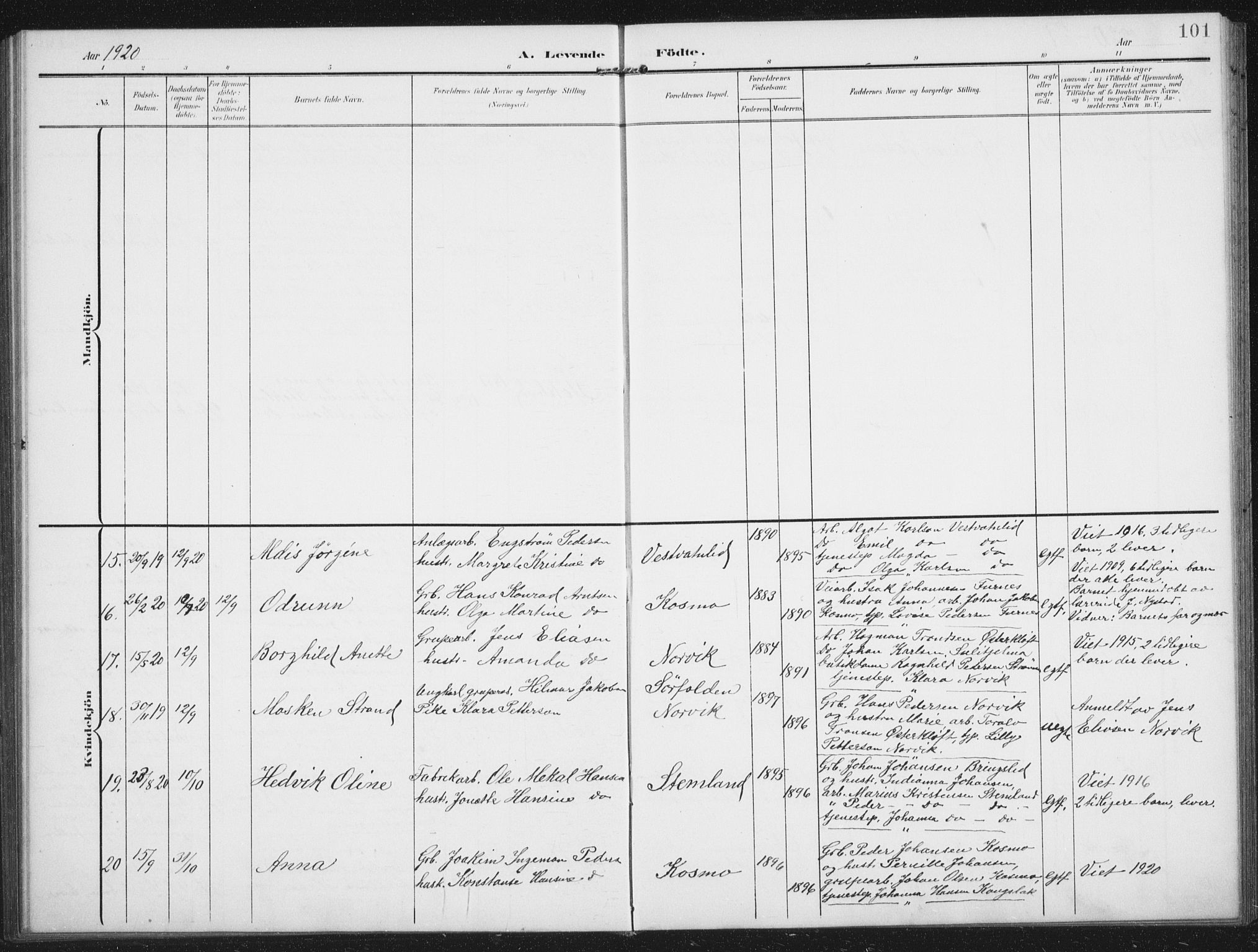 Ministerialprotokoller, klokkerbøker og fødselsregistre - Nordland, AV/SAT-A-1459/851/L0726: Parish register (copy) no. 851C01, 1902-1924, p. 101