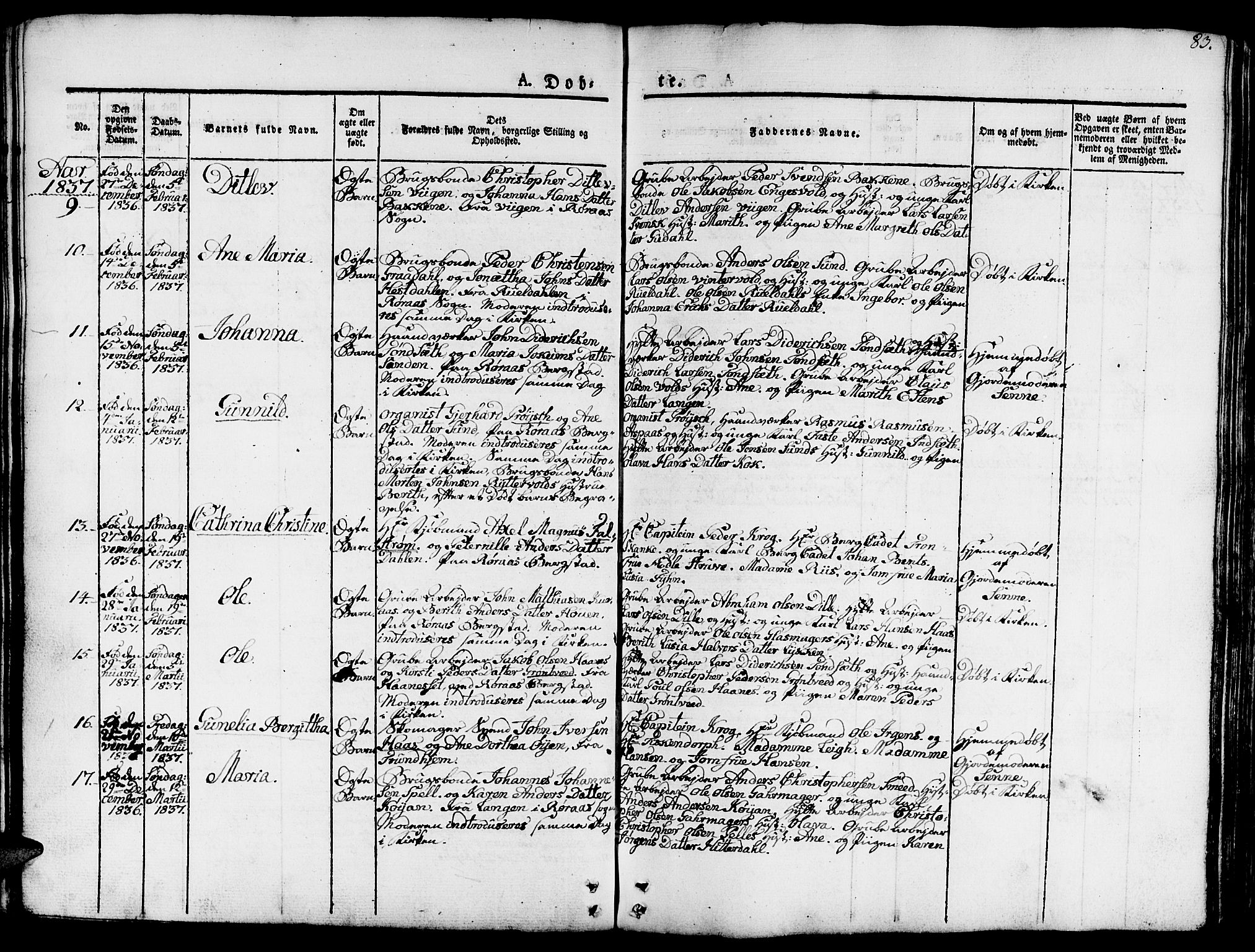 Ministerialprotokoller, klokkerbøker og fødselsregistre - Sør-Trøndelag, SAT/A-1456/681/L0938: Parish register (copy) no. 681C02, 1829-1879, p. 83