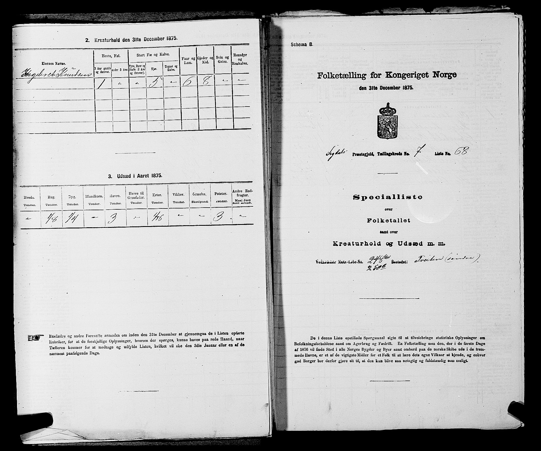 SAKO, 1875 census for 0621P Sigdal, 1875, p. 1132