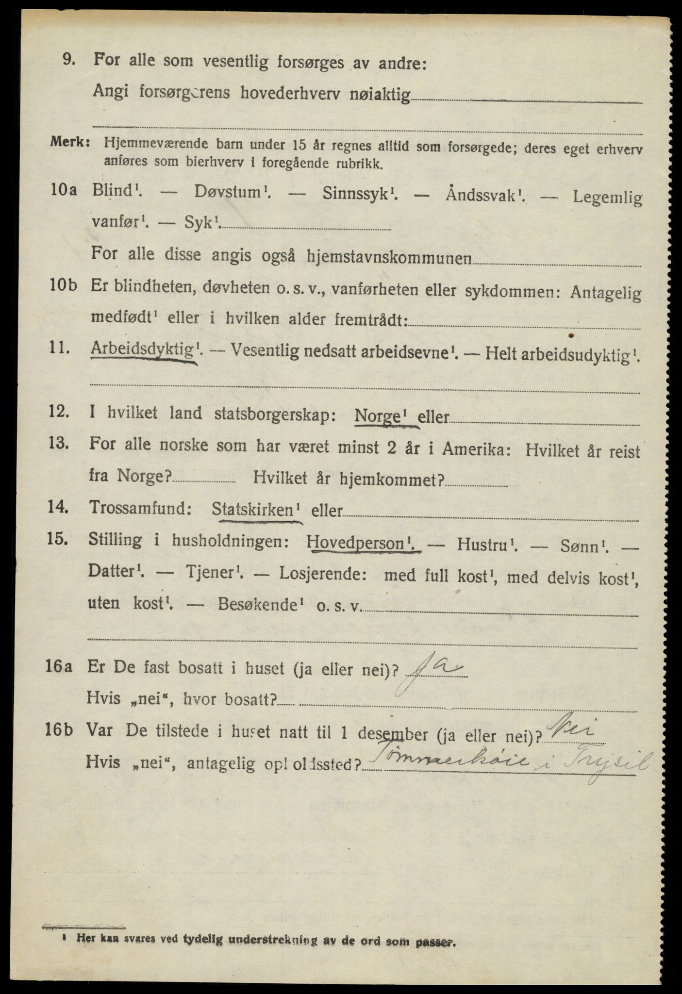 SAH, 1920 census for Trysil, 1920, p. 13773