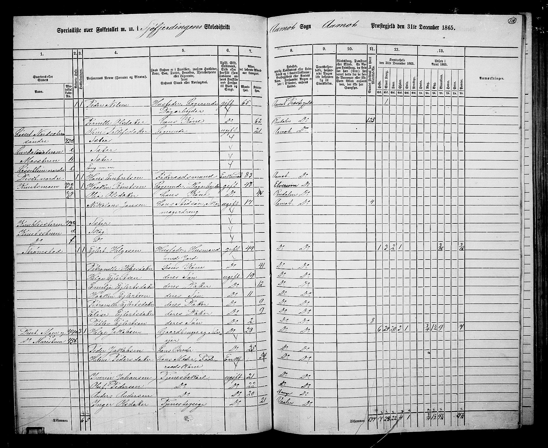 RA, 1865 census for Åmot, 1865, p. 107