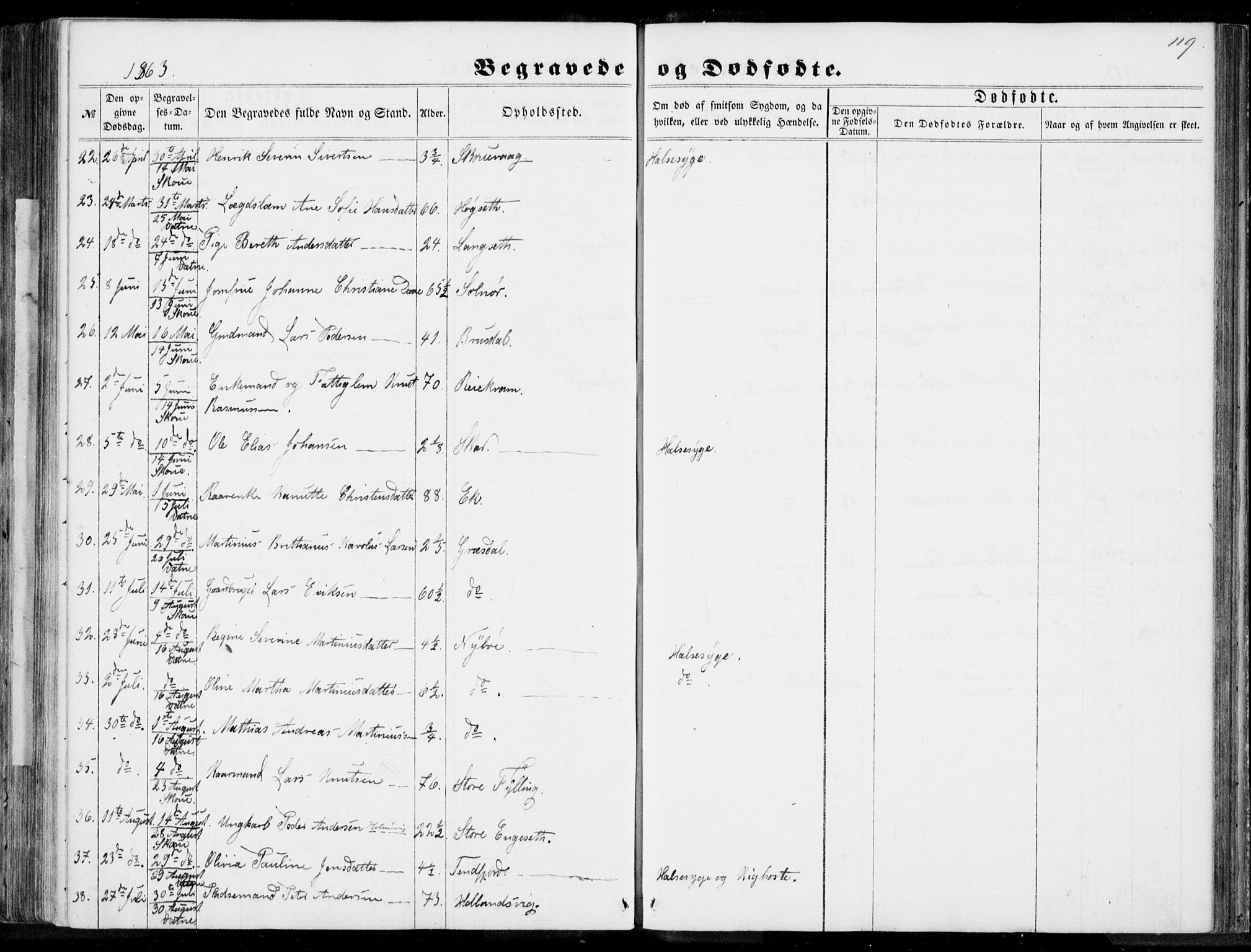 Ministerialprotokoller, klokkerbøker og fødselsregistre - Møre og Romsdal, AV/SAT-A-1454/524/L0354: Parish register (official) no. 524A06, 1857-1863, p. 119