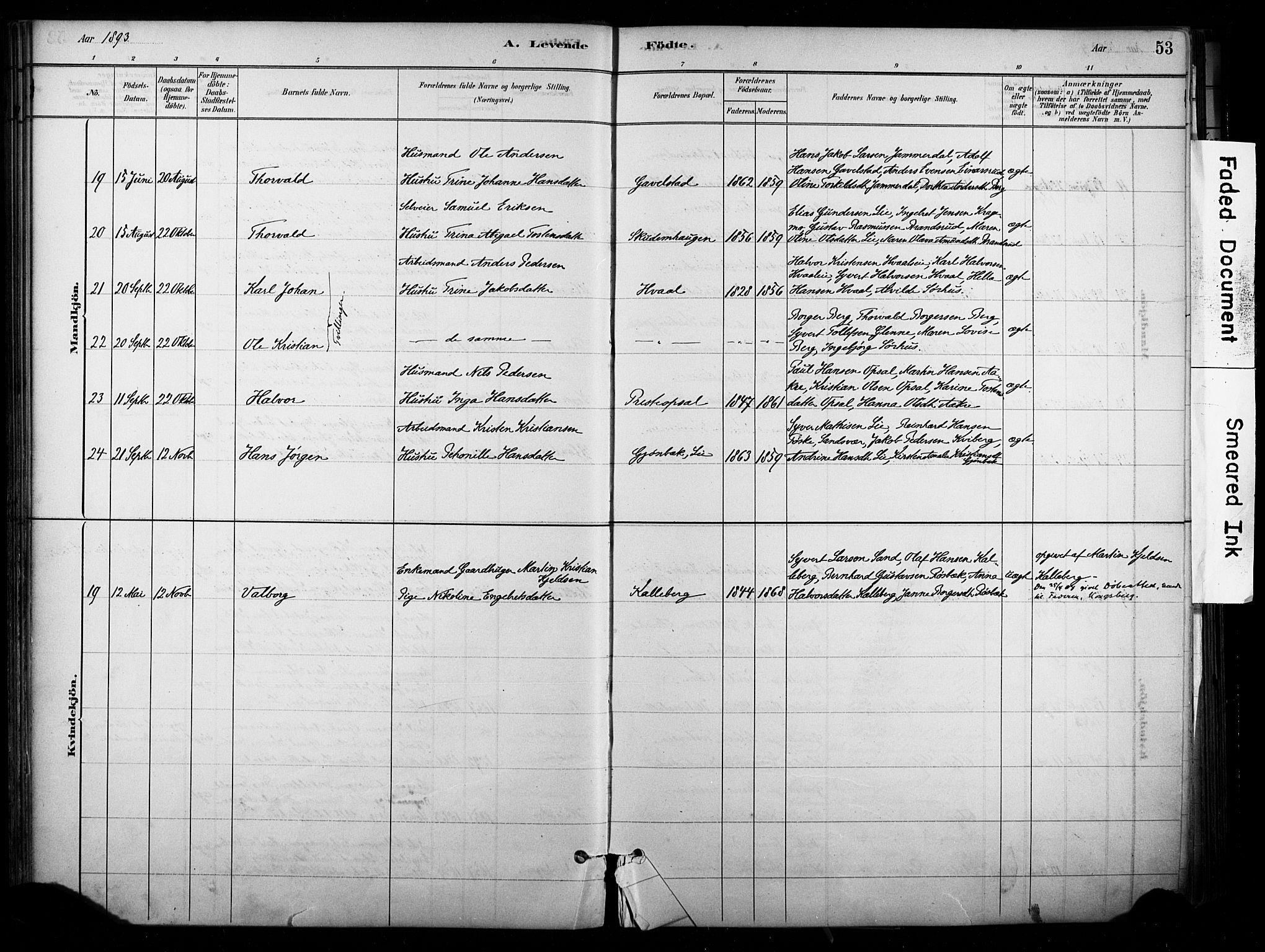 Lardal kirkebøker, AV/SAKO-A-350/F/Fb/L0001: Parish register (official) no. II 1, 1881-1911, p. 53