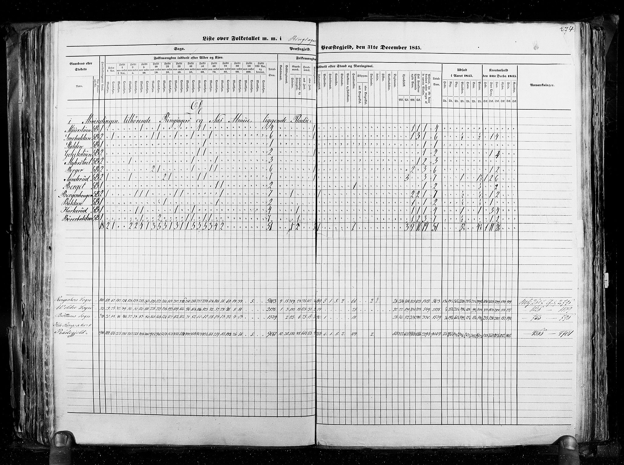 RA, Census 1845, vol. 3: Hedemarken amt og Kristians amt, 1845, p. 274