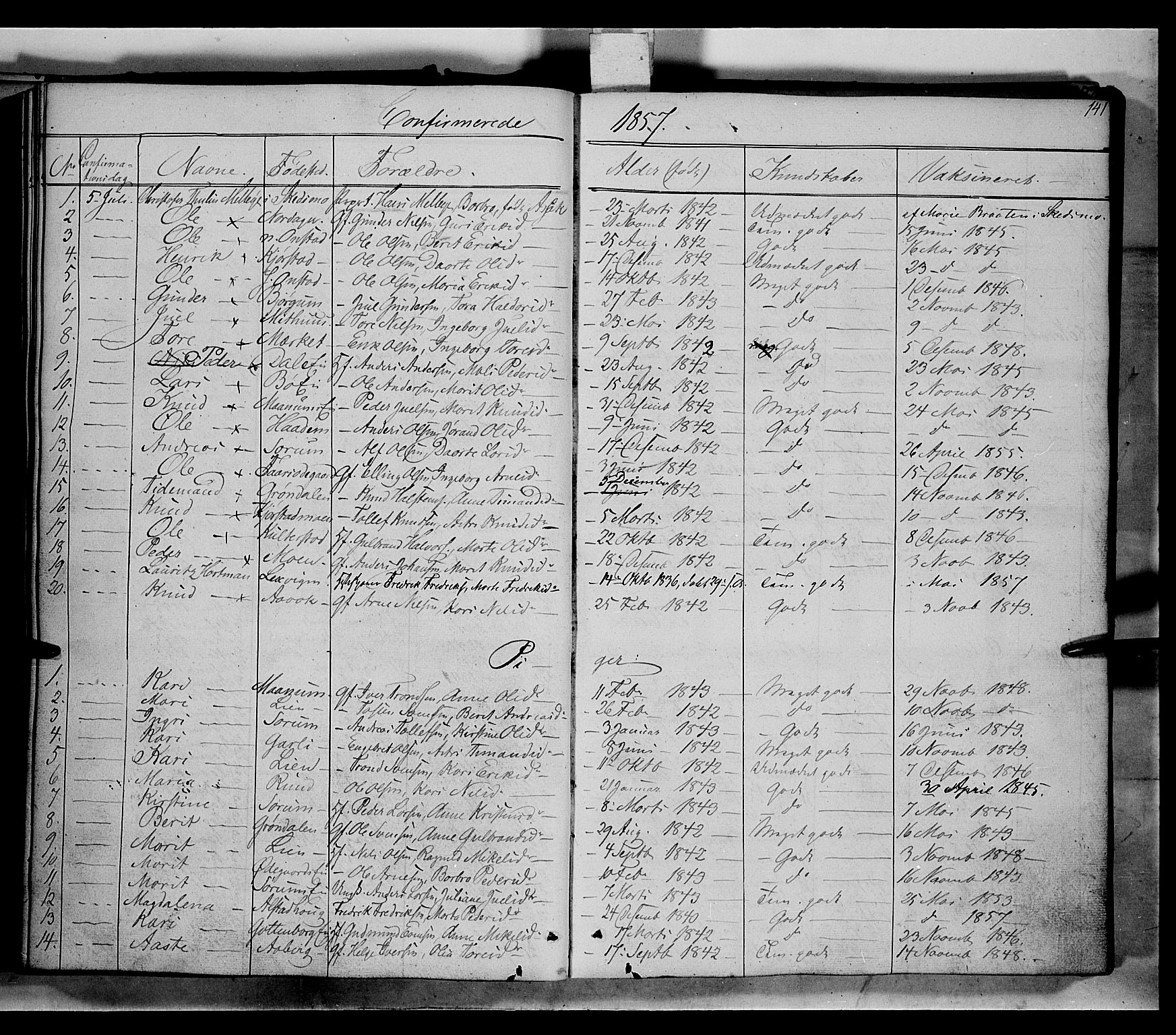Nord-Aurdal prestekontor, SAH/PREST-132/H/Ha/Haa/L0004: Parish register (official) no. 4, 1842-1863, p. 141