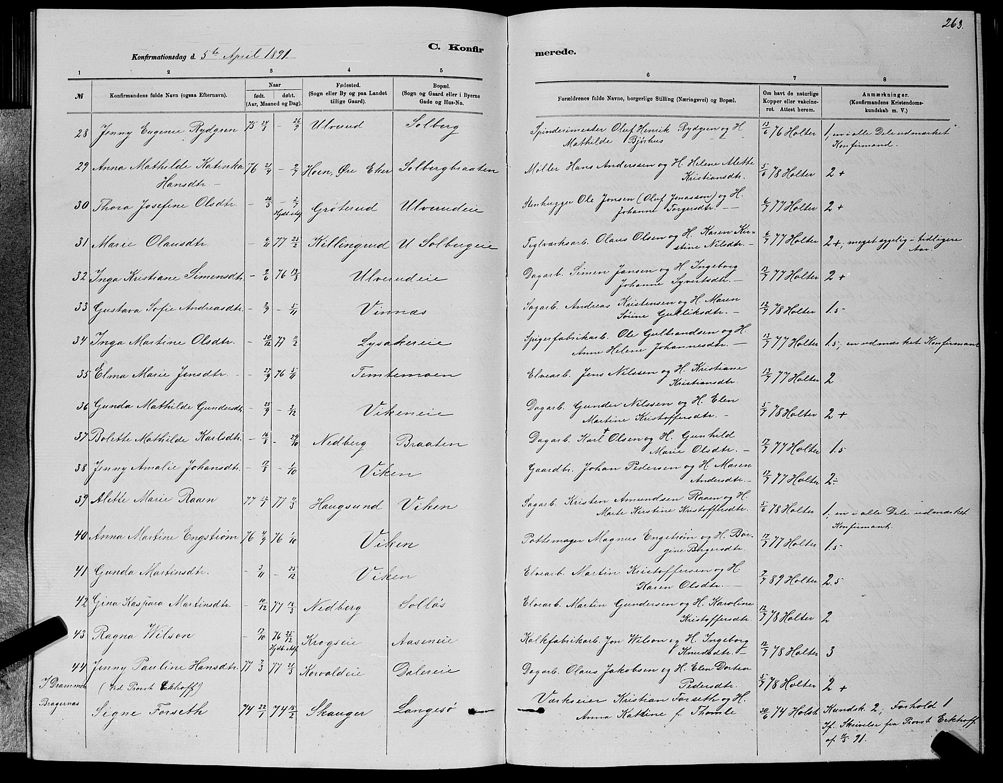 Nedre Eiker kirkebøker, AV/SAKO-A-612/G/Ga/L0002: Parish register (copy) no. 2, 1880-1896, p. 263
